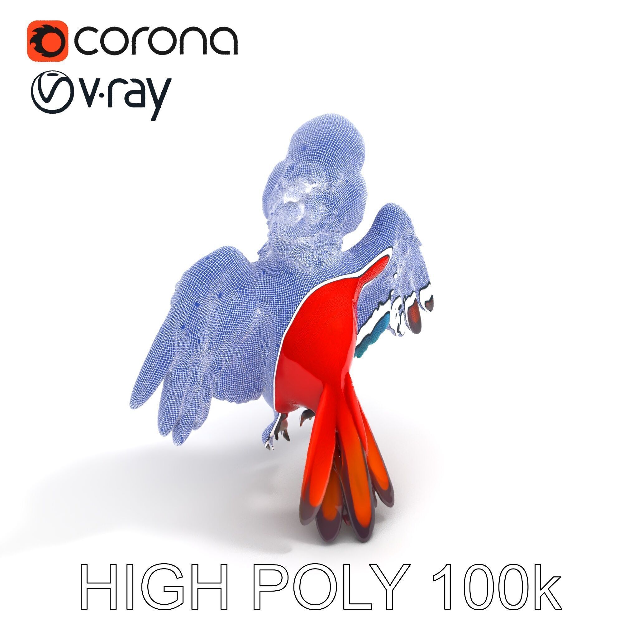 Colorful Parrot D Model Pack for Animation and Games Low-poly 3D model_34