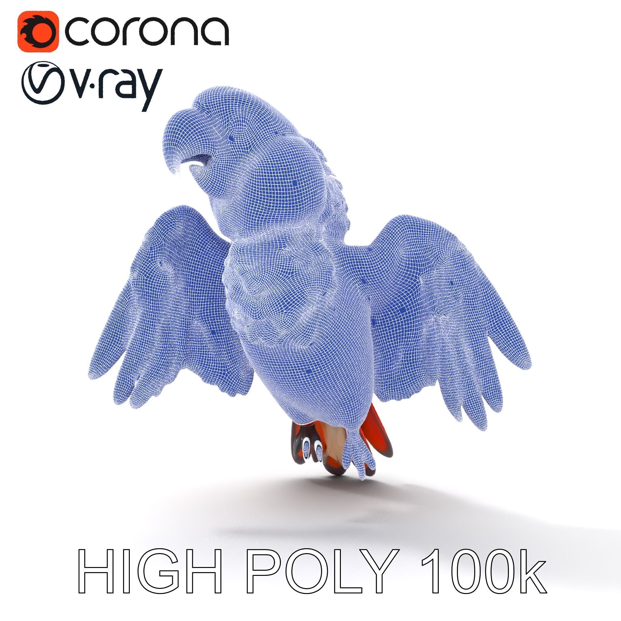 Colorful Parrot D Model Pack for Animation and Games Low-poly 3D model_27
