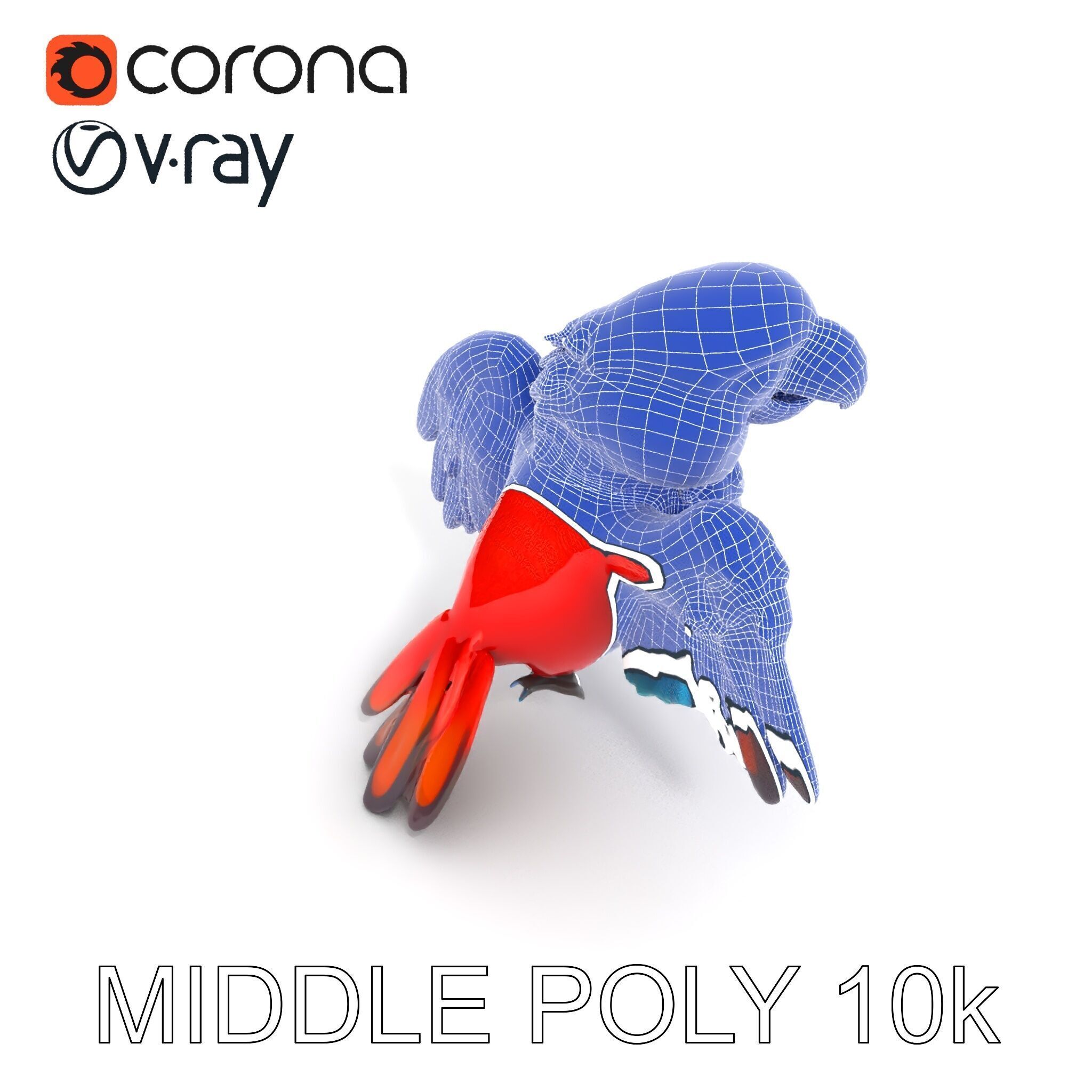 Colorful Parrot D Model Pack for Animation and Games Low-poly 3D model_28