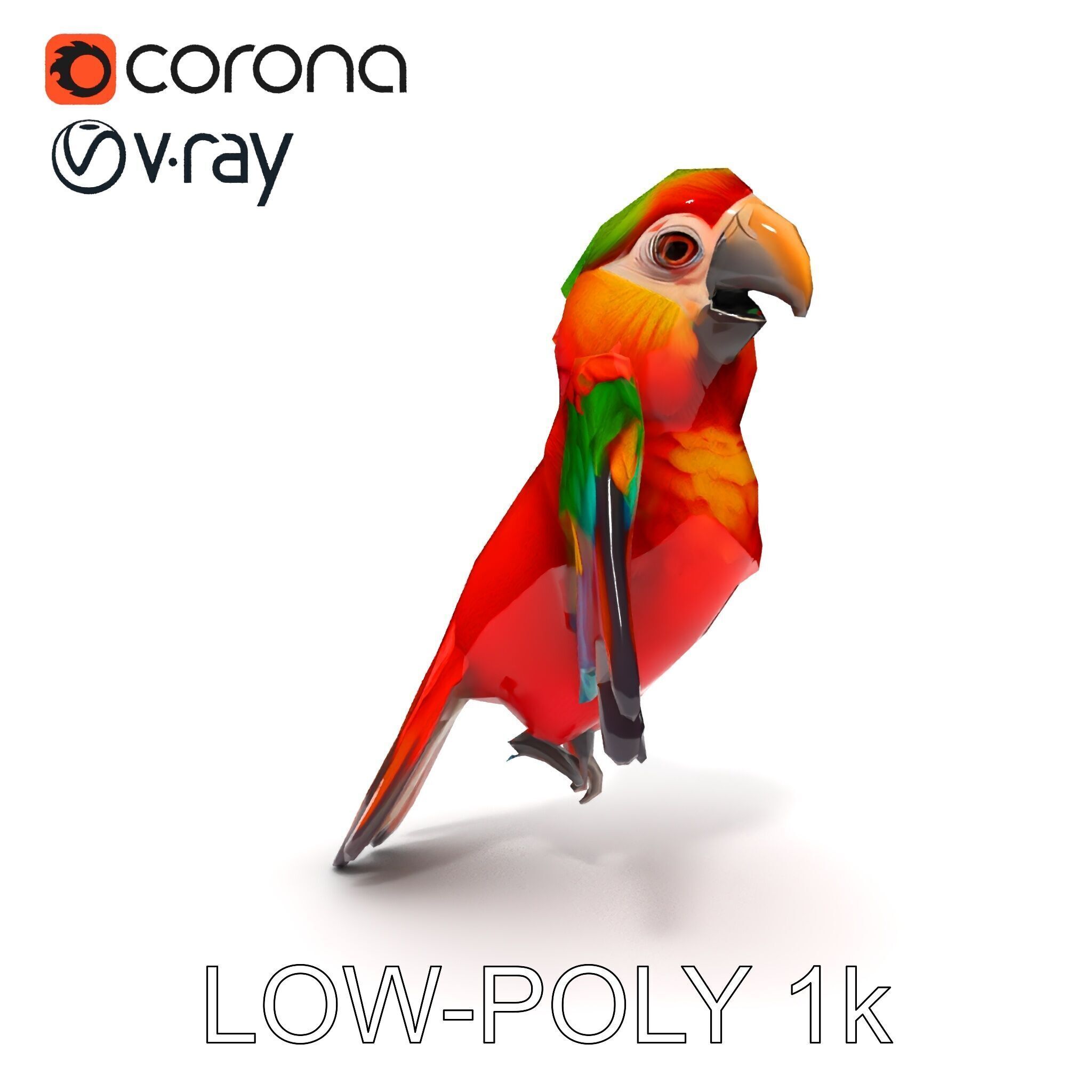 Colorful Parrot D Model Pack for Animation and Games Low-poly 3D model_10