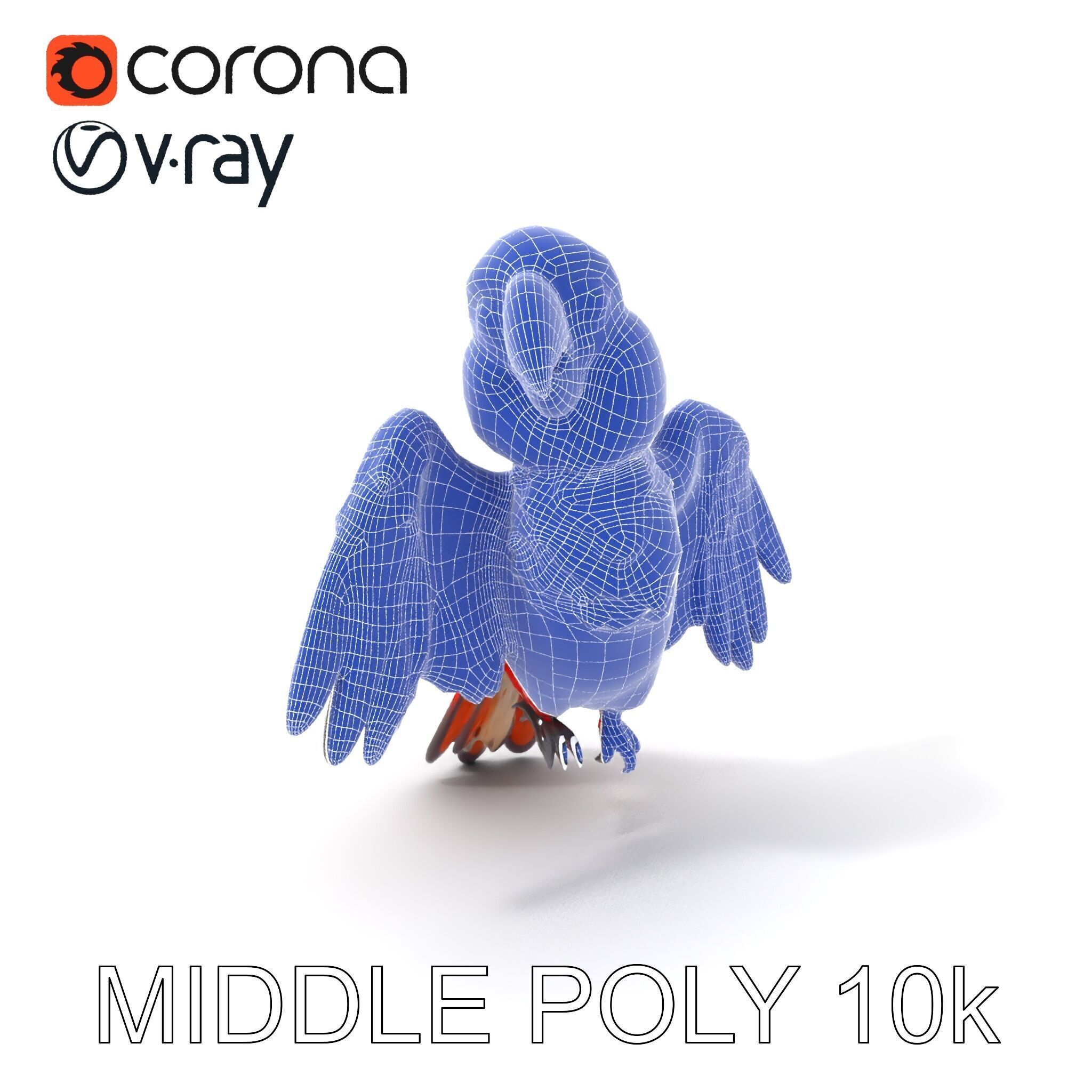 Colorful Parrot D Model Pack for Animation and Games Low-poly 3D model_21