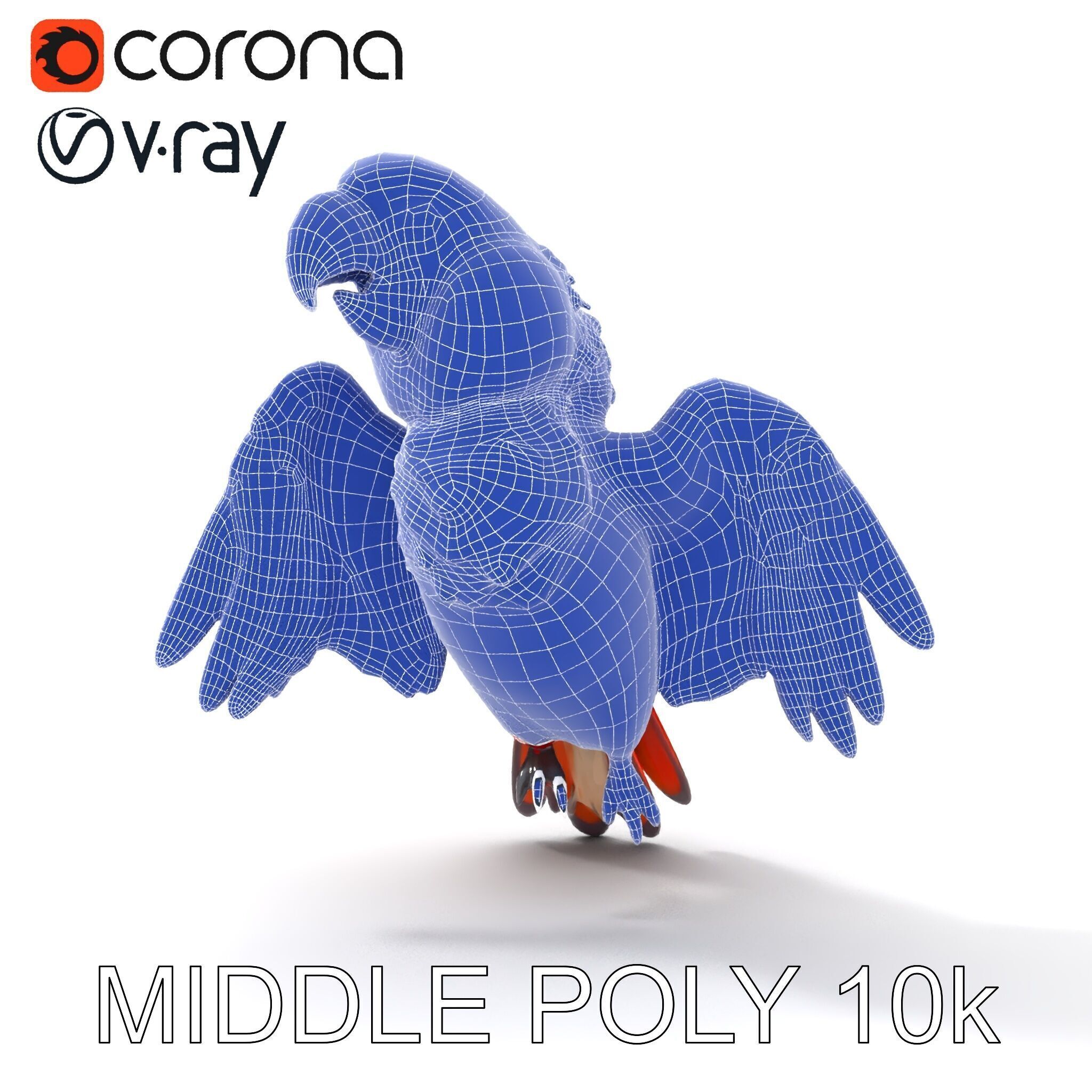 Colorful Parrot D Model Pack for Animation and Games Low-poly 3D model_32