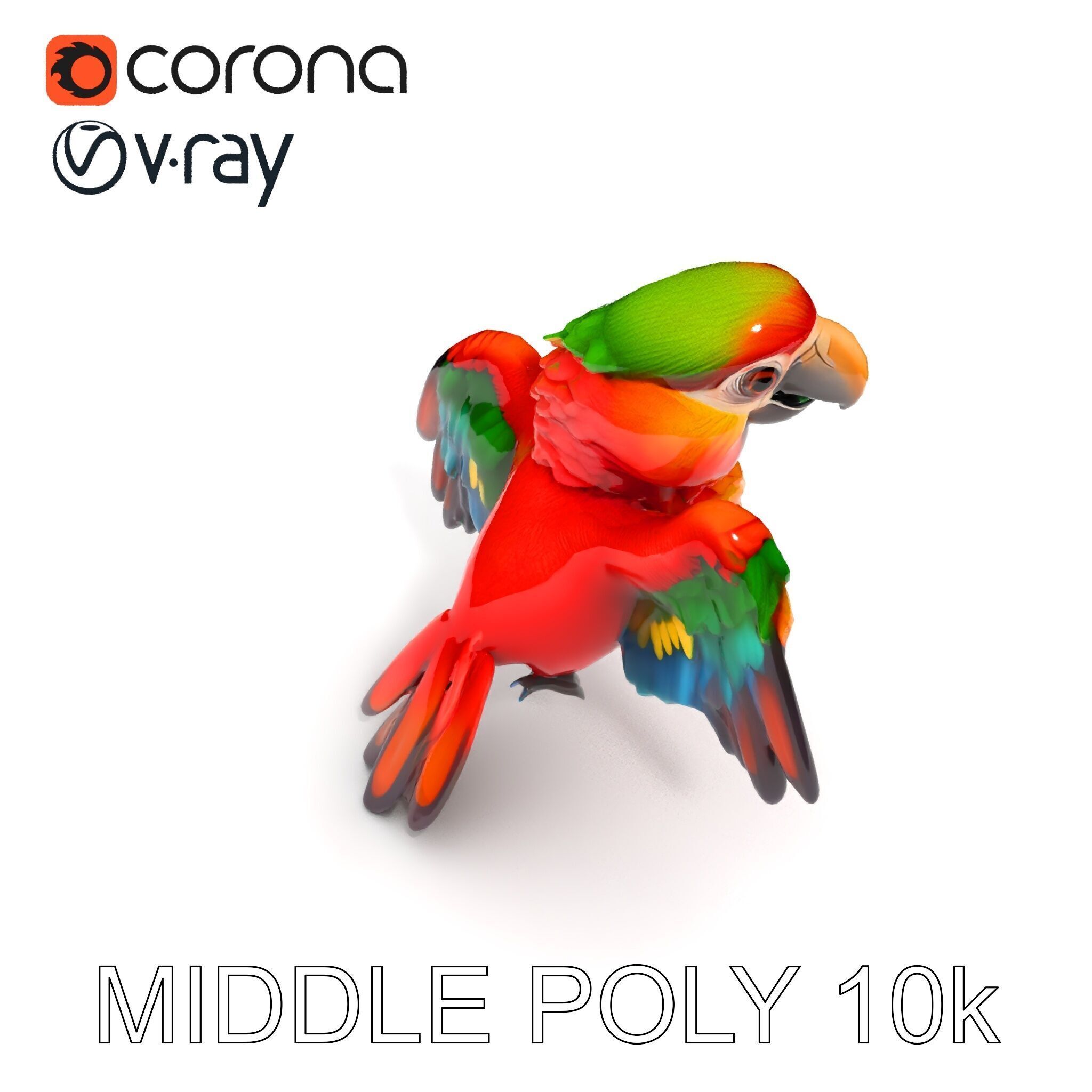 Colorful Parrot D Model Pack for Animation and Games Low-poly 3D model_12