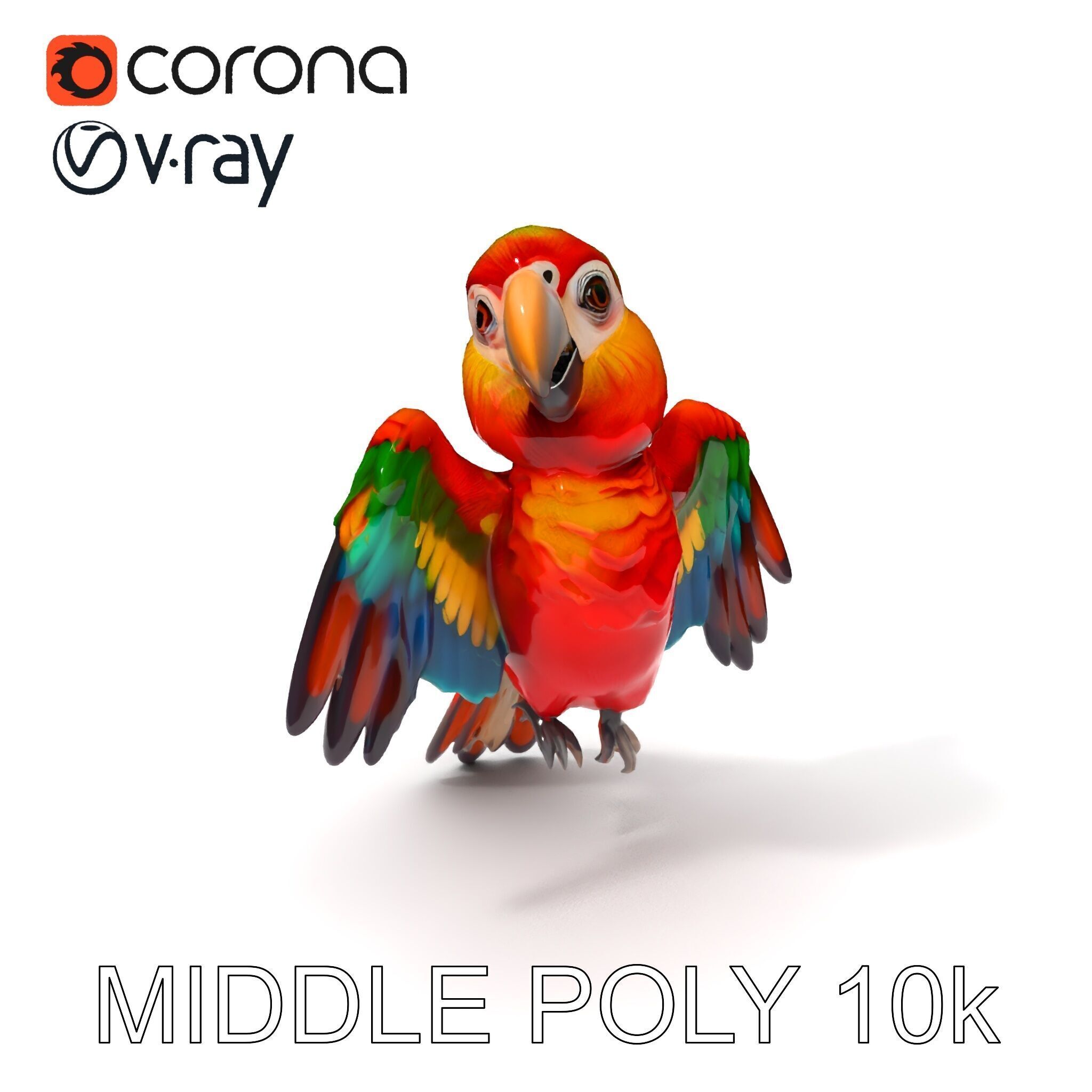 Colorful Parrot D Model Pack for Animation and Games Low-poly 3D model_18