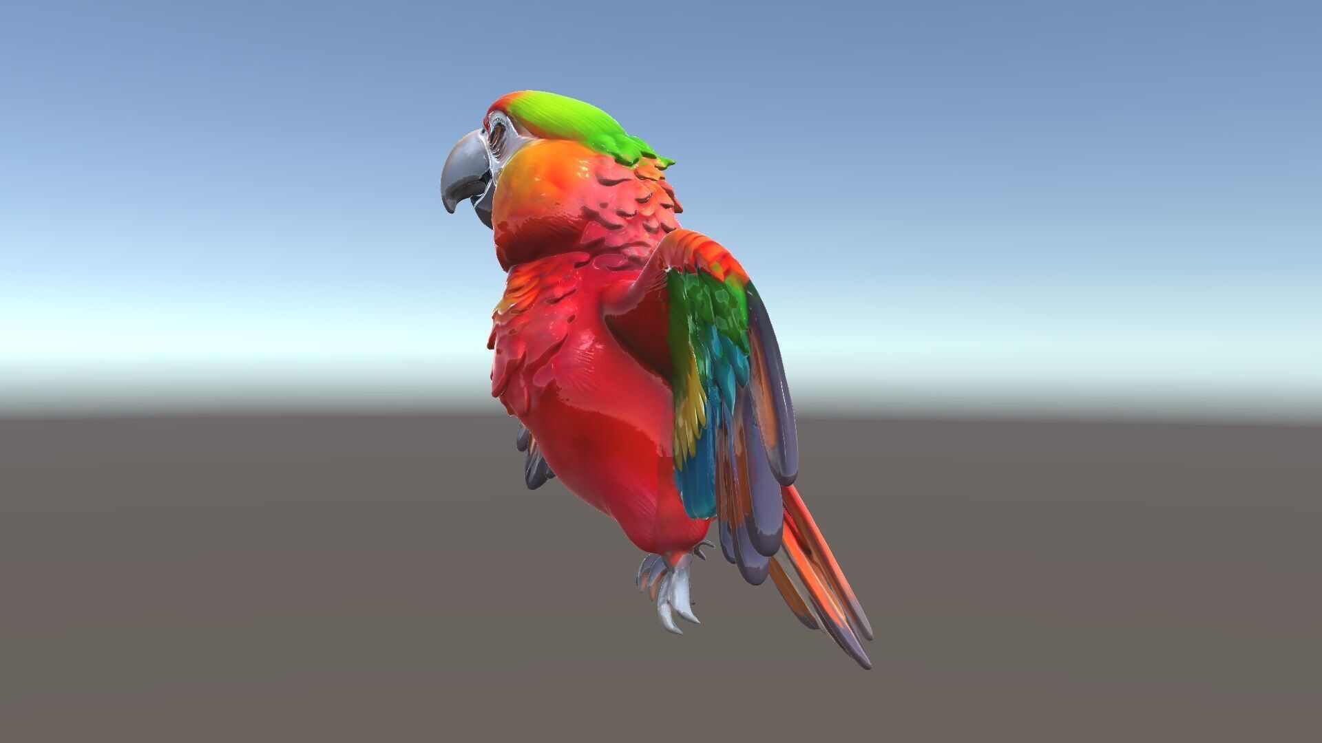 Colorful Parrot D Model Pack for Animation and Games Low-poly 3D model_5