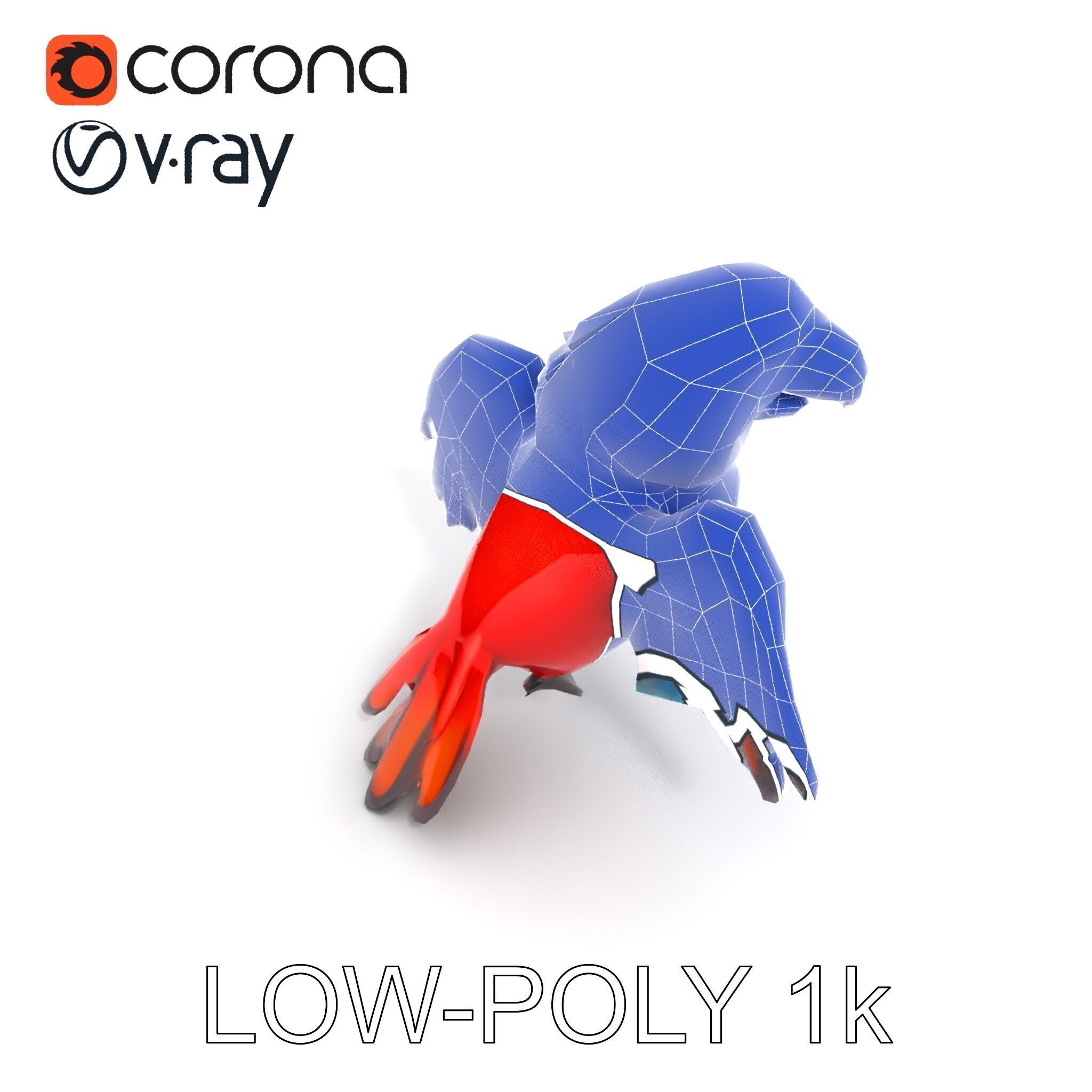 Colorful Parrot D Model Pack for Animation and Games Low-poly 3D model_13