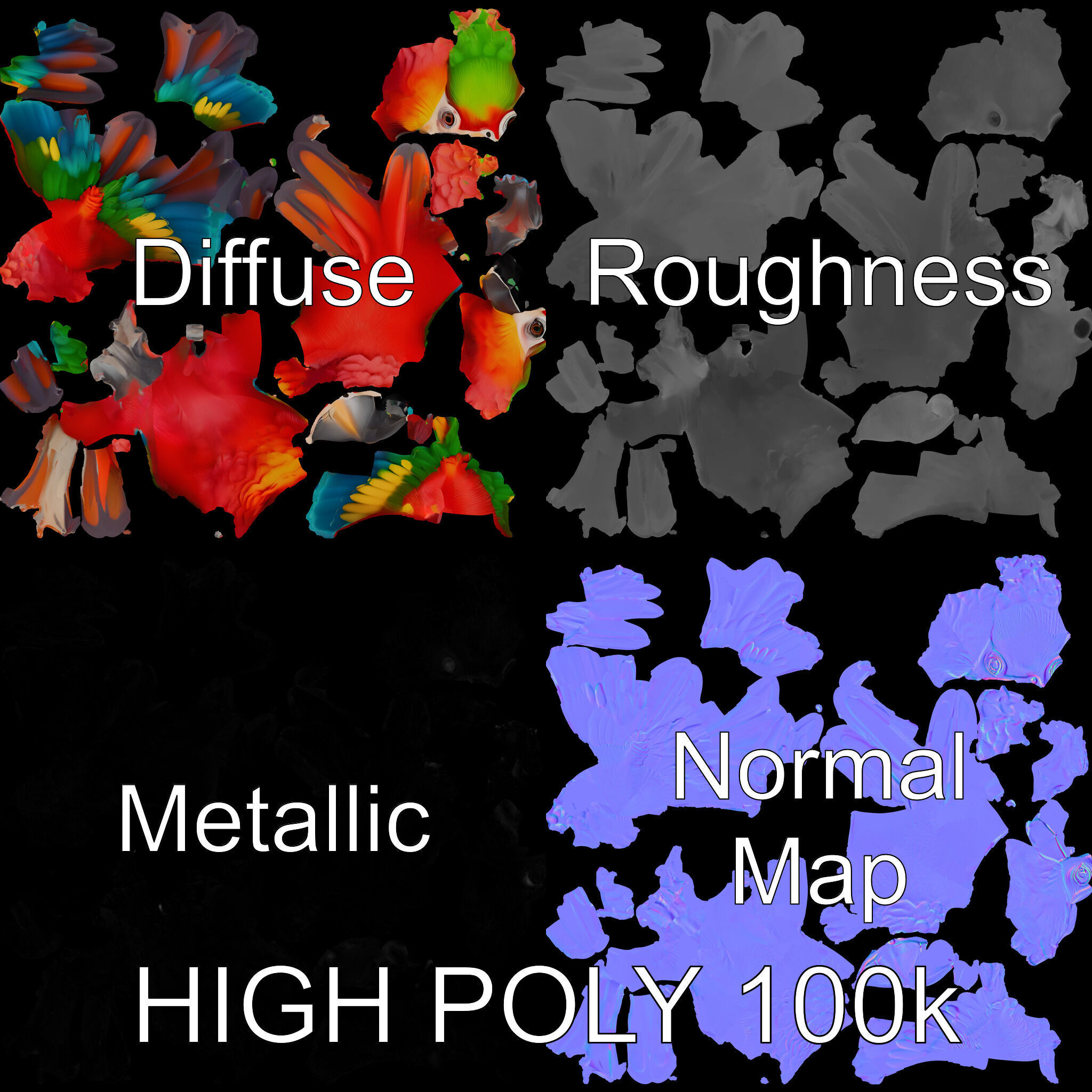 Colorful Parrot D Model Pack for Animation and Games Low-poly 3D model_2