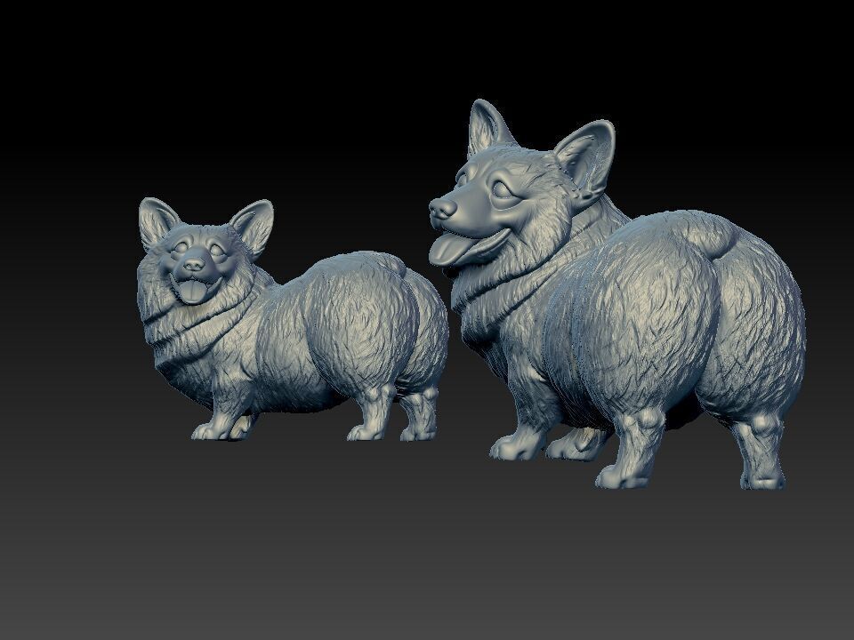 Welsh Corgi dog staute - tailless corgi dog model - 3D print 3D print model_2