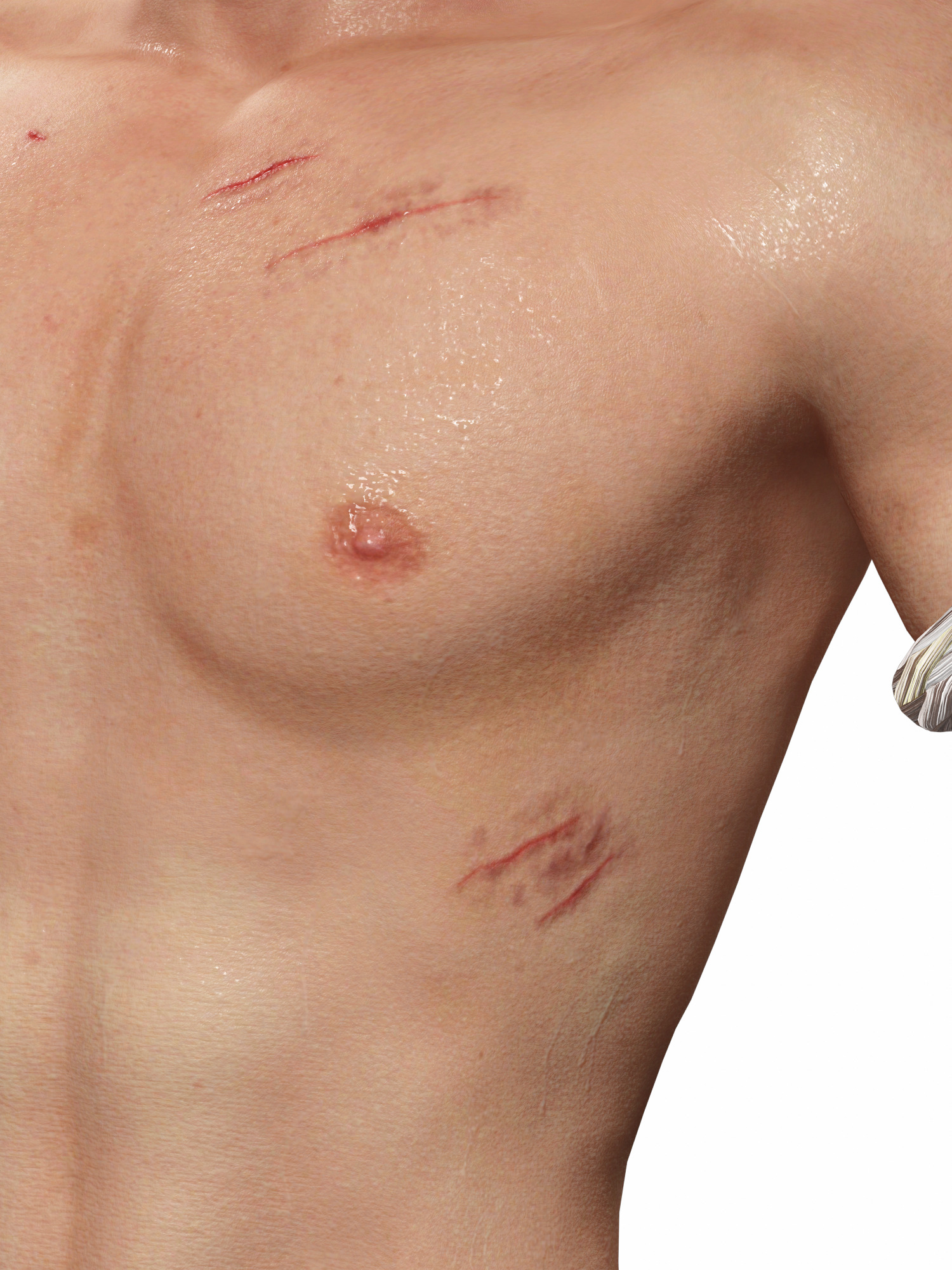 Realistic Male Fighter Battle-Ready Brawler with PBR Textures Low-poly 3D model_15