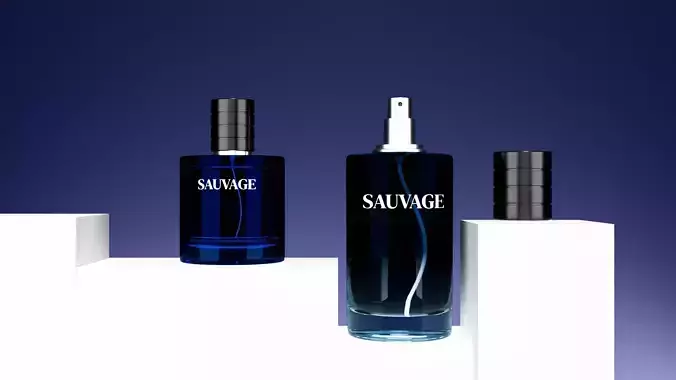 3D Sauvage Perfume Bottle