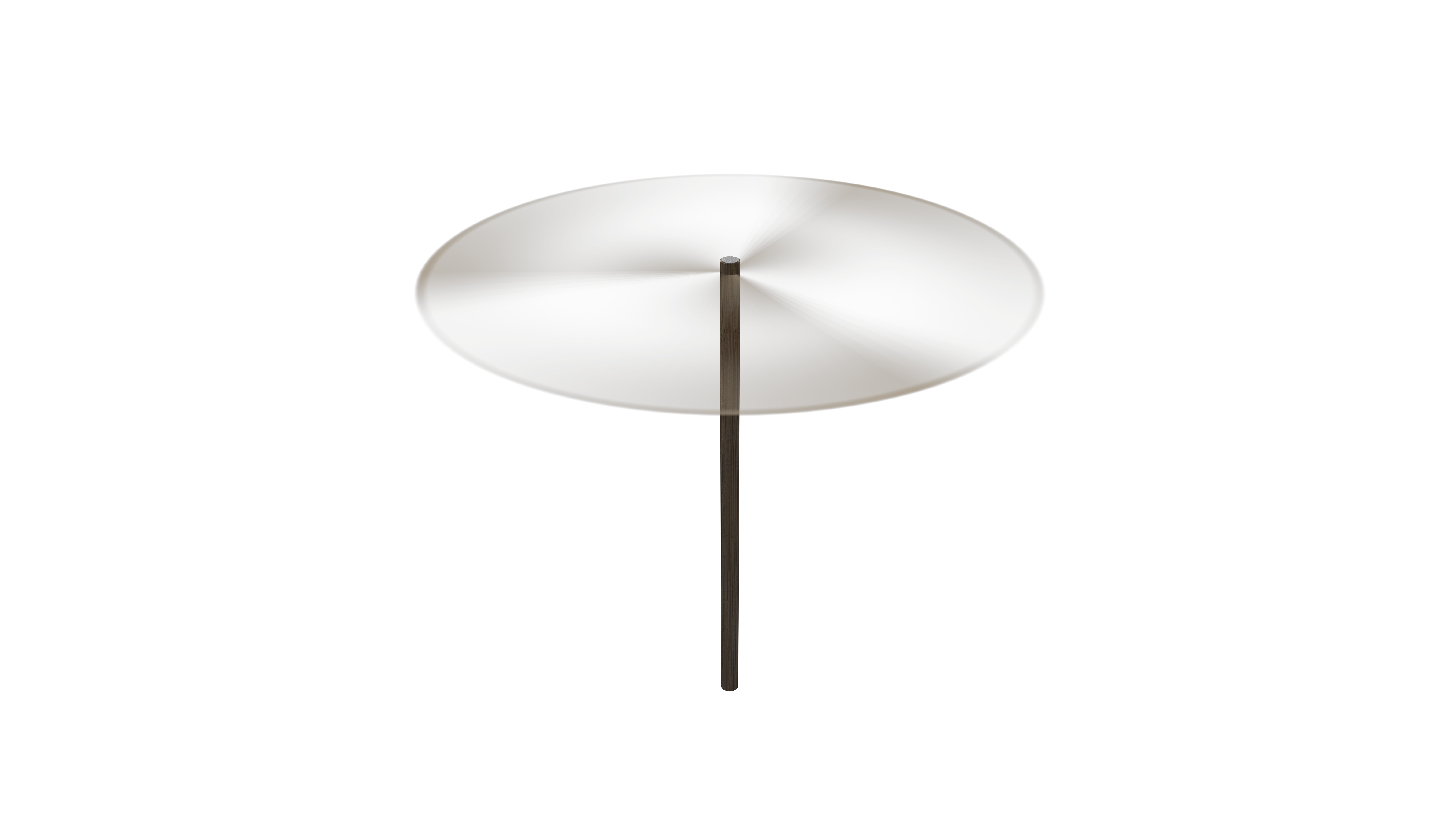 Bamboo Dragonfly 3D model_4