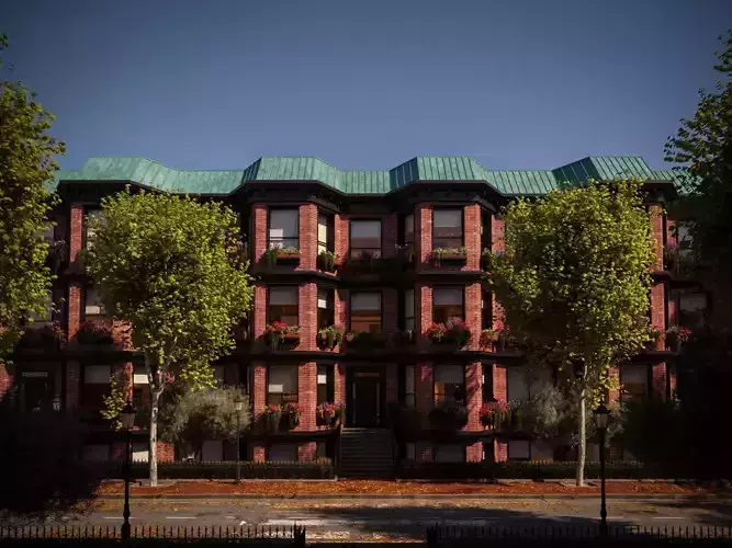 Platanus x hispanica  L 02 London plane Platanaceae