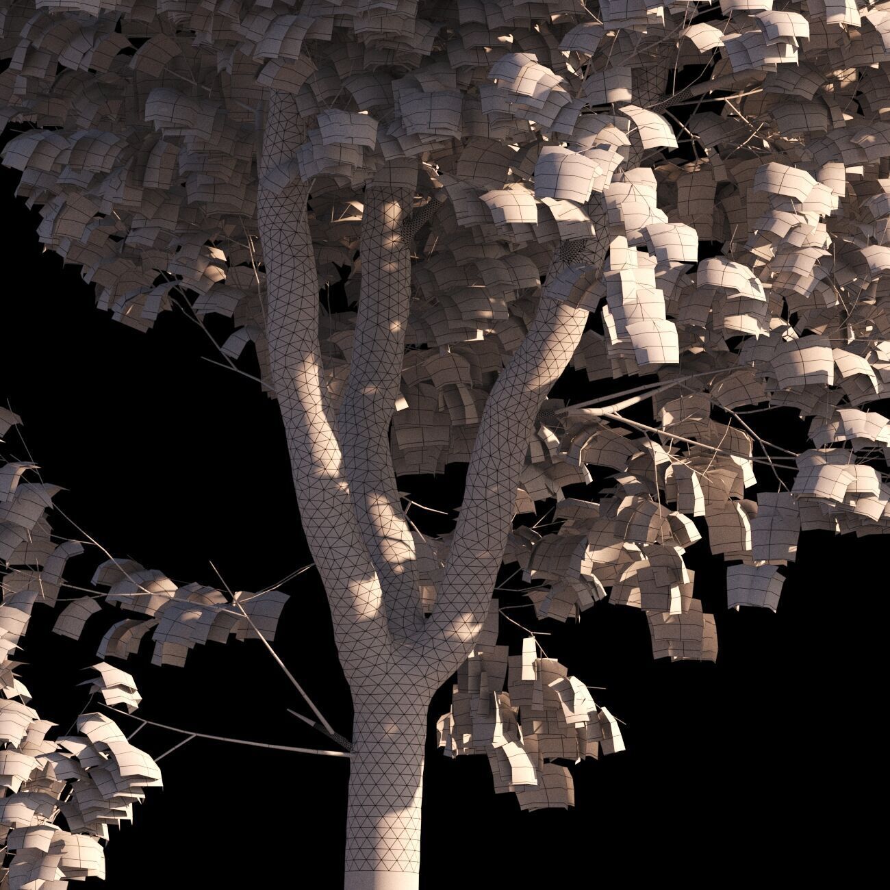 Platanus x hispanica  L 02 London plane Platanaceae 3D model_7