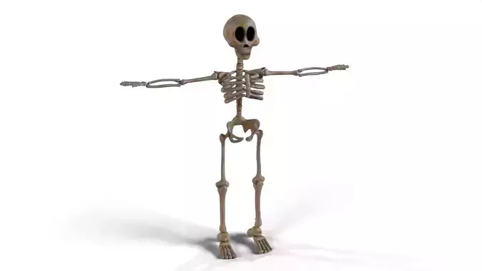 Skeleton