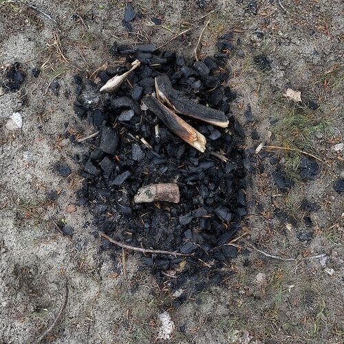 Extinguished Campfire Ashes Burned Fire Pit with Charcoal Scan Low-poly 3D model
