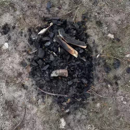 Extinguished Campfire Ashes Burned Fire Pit with Charcoal Scan Low-poly 3D model