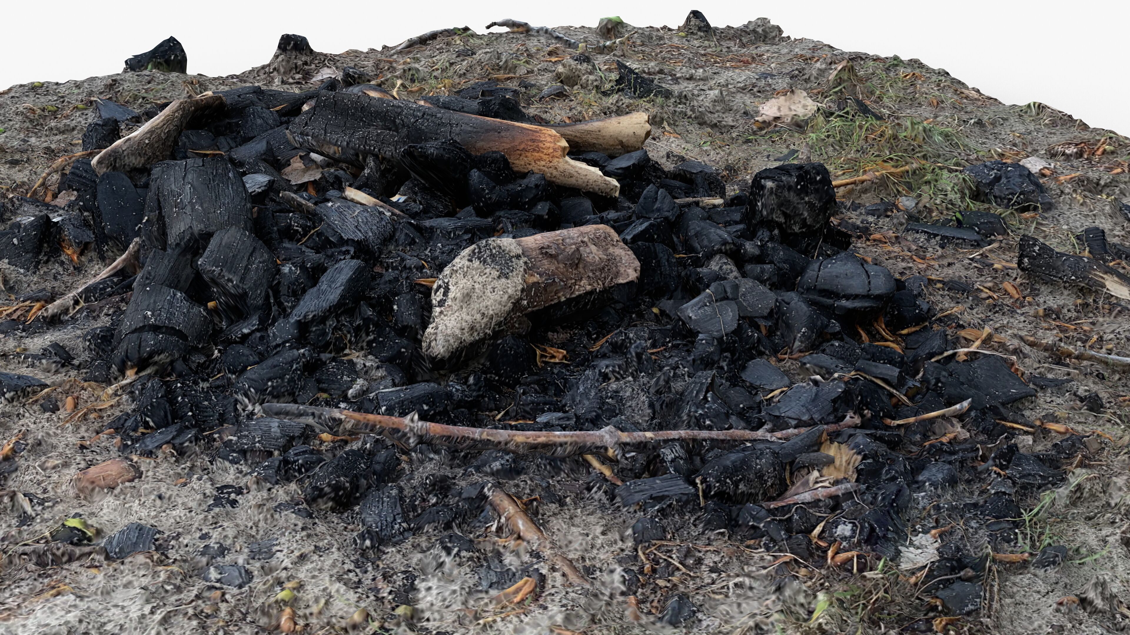 Extinguished Campfire Ashes Burned Fire Pit with Charcoal Scan Low-poly 3D model_9