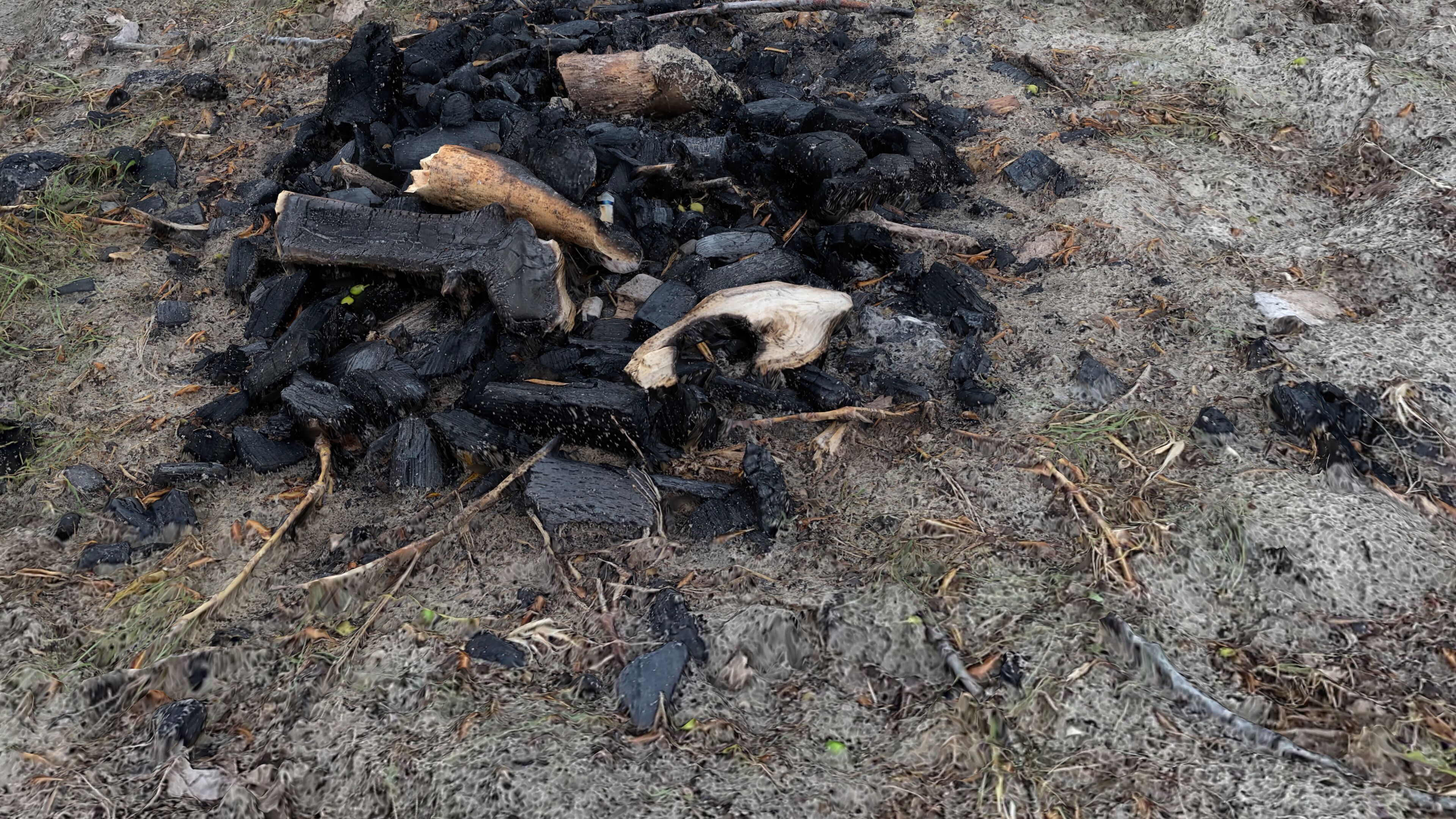 Extinguished Campfire Ashes Burned Fire Pit with Charcoal Scan Low-poly 3D model_15