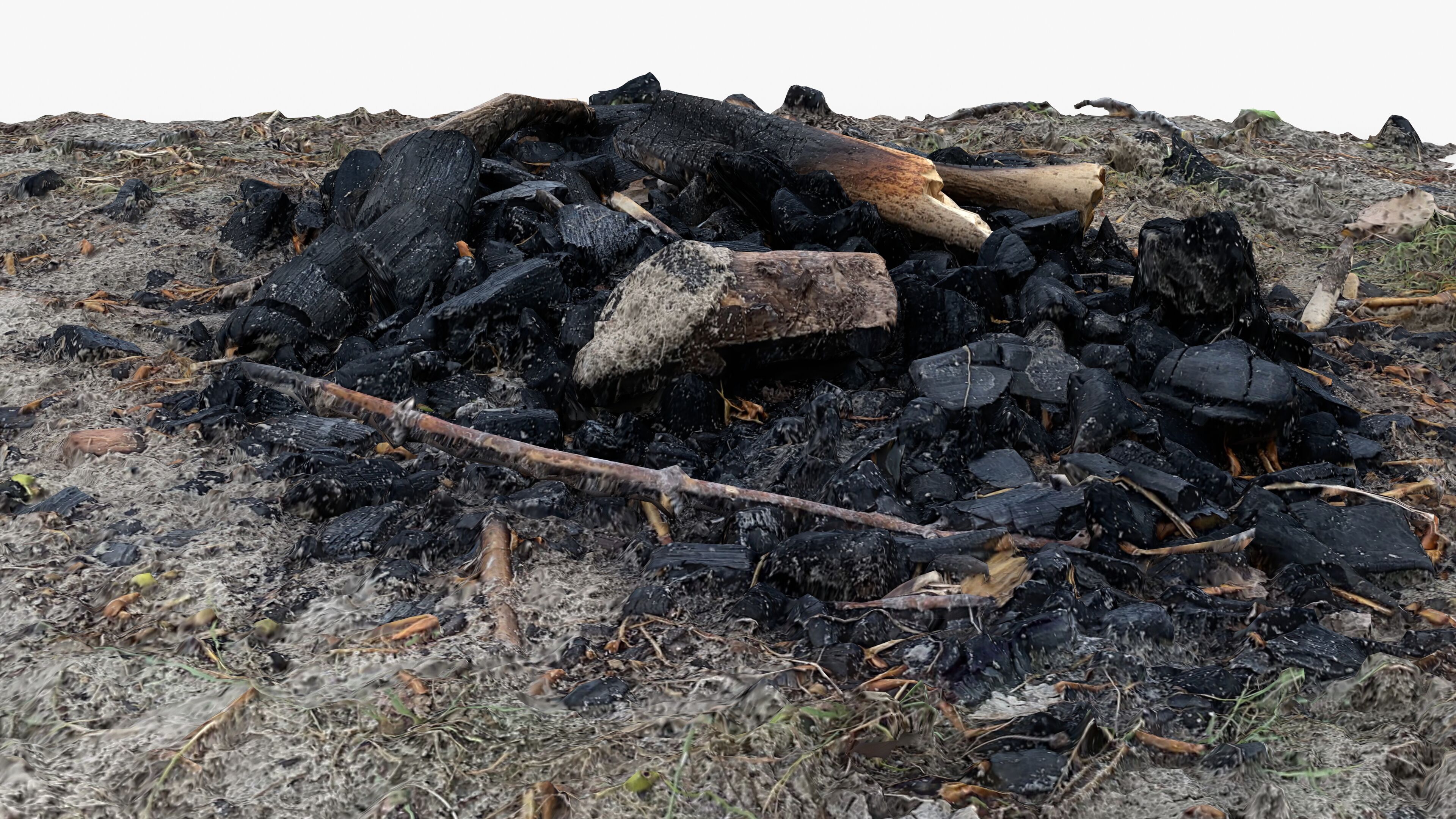 Extinguished Campfire Ashes Burned Fire Pit with Charcoal Scan Low-poly 3D model_14