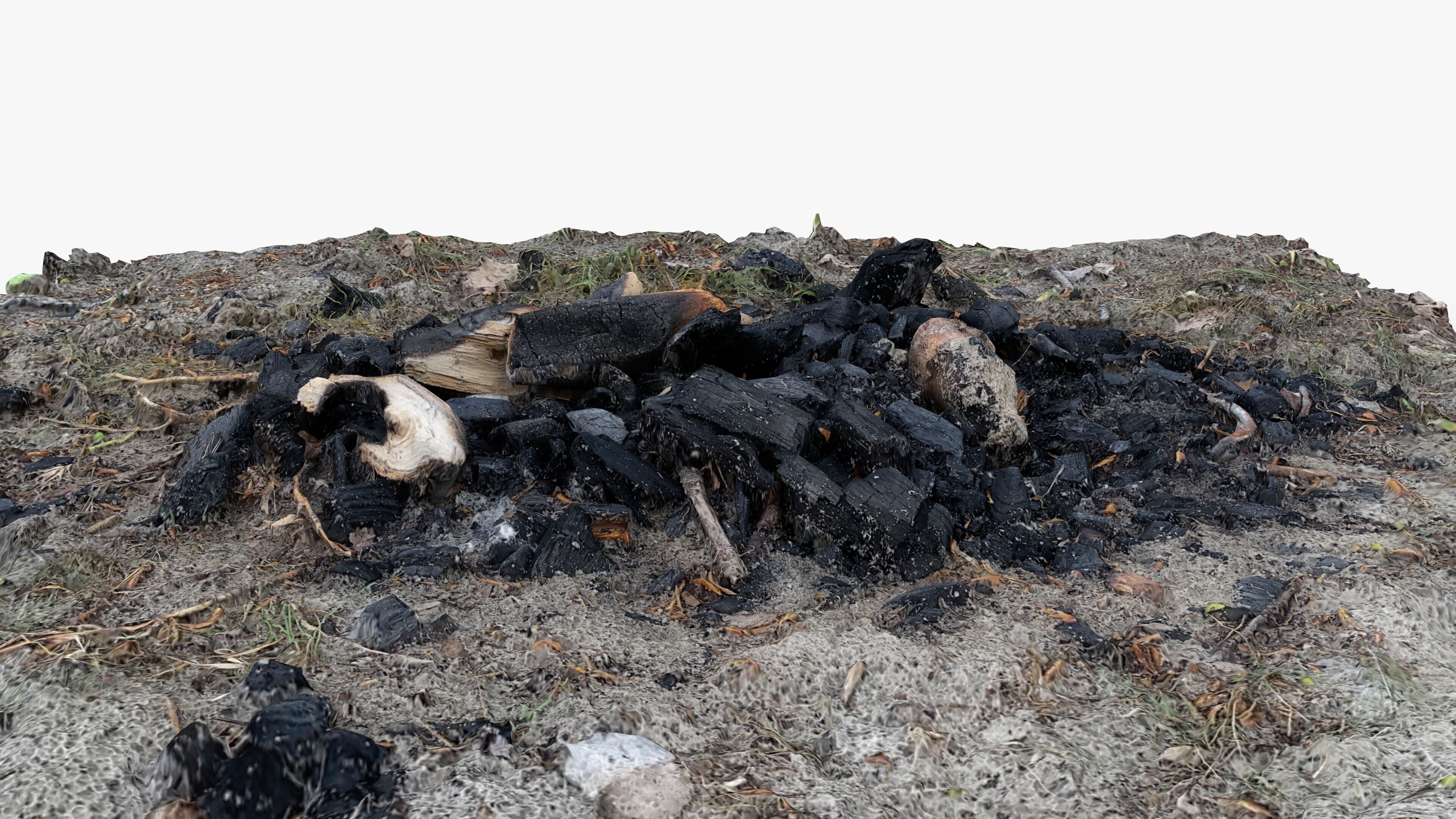 Extinguished Campfire Ashes Burned Fire Pit with Charcoal Scan Low-poly 3D model_8