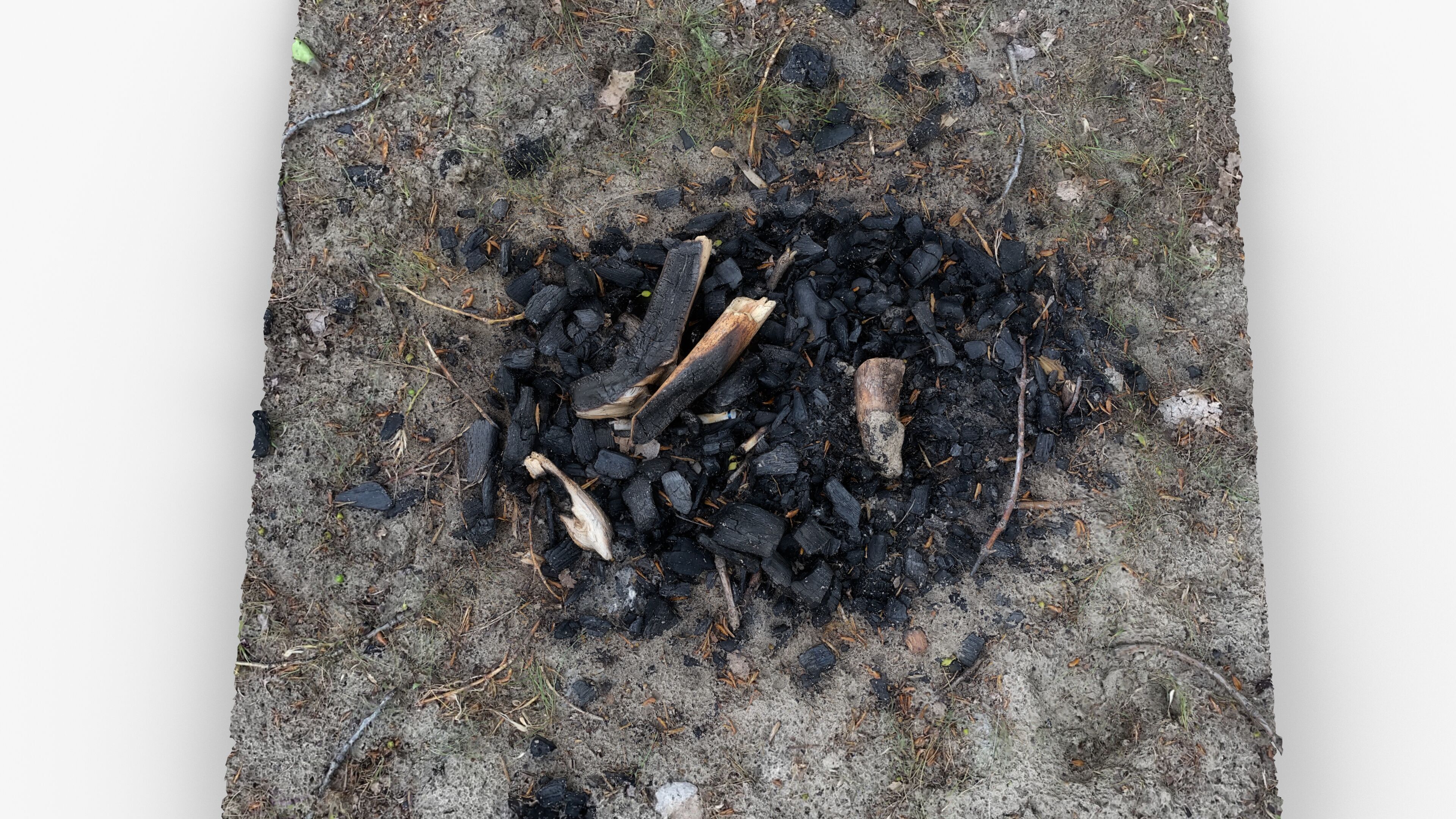 Extinguished Campfire Ashes Burned Fire Pit with Charcoal Scan Low-poly 3D model_5