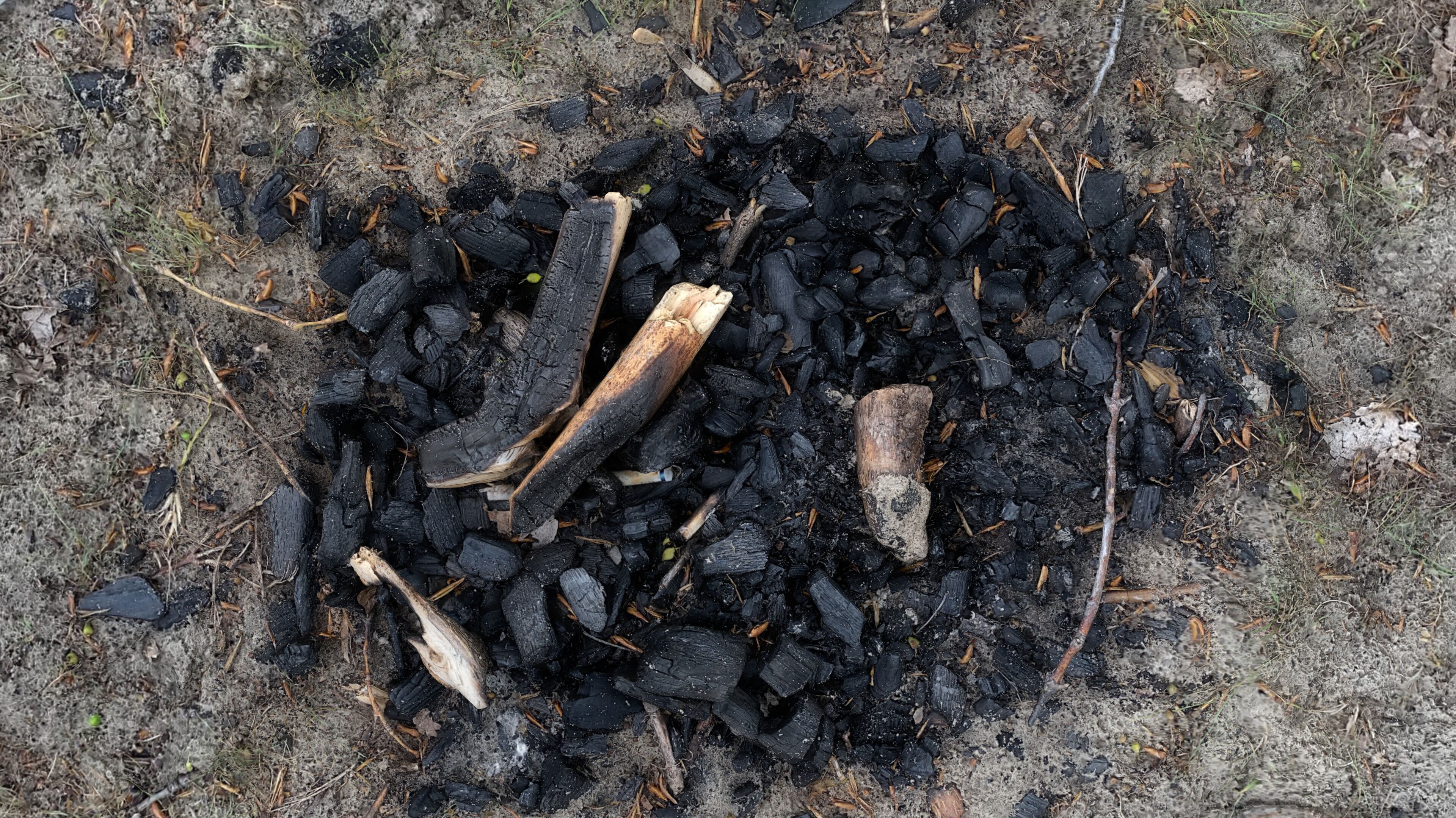 Extinguished Campfire Ashes Burned Fire Pit with Charcoal Scan Low-poly 3D model_13