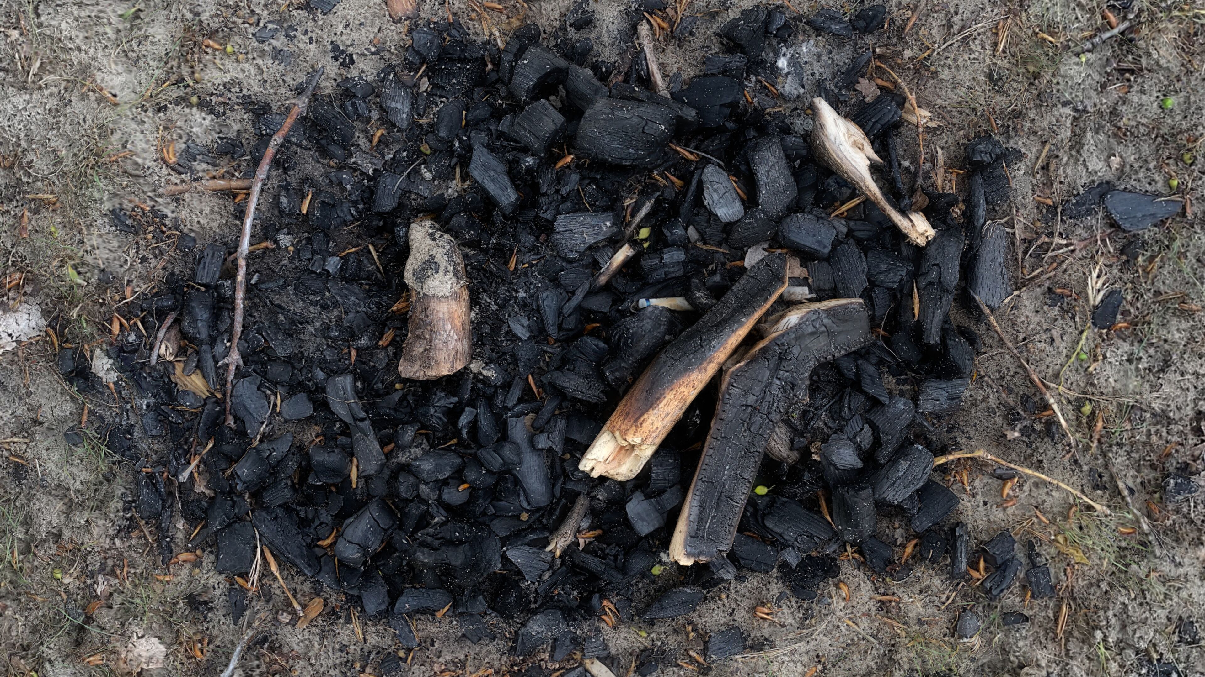 Extinguished Campfire Ashes Burned Fire Pit with Charcoal Scan Low-poly 3D model_7