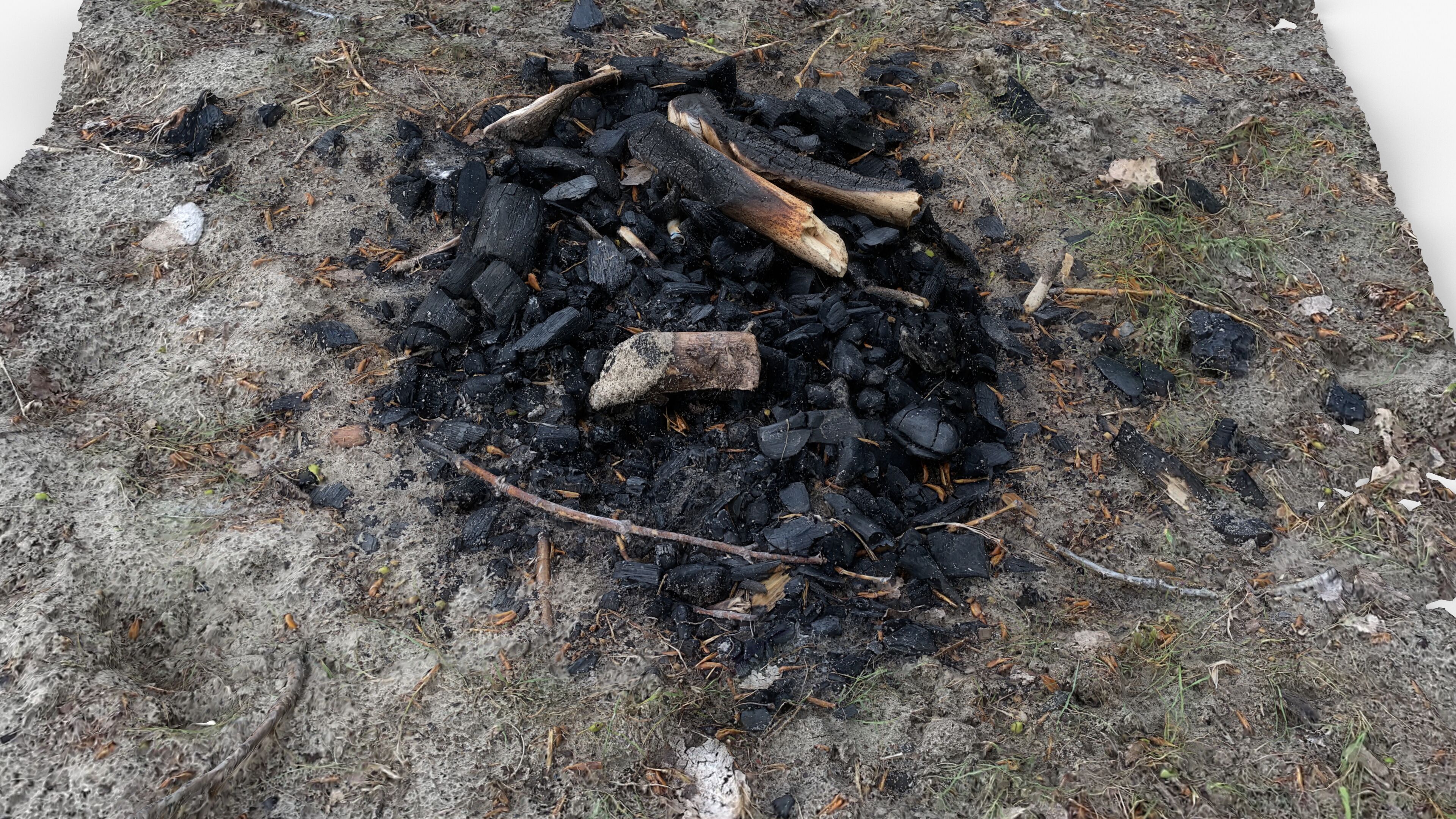 Extinguished Campfire Ashes Burned Fire Pit with Charcoal Scan Low-poly 3D model_3