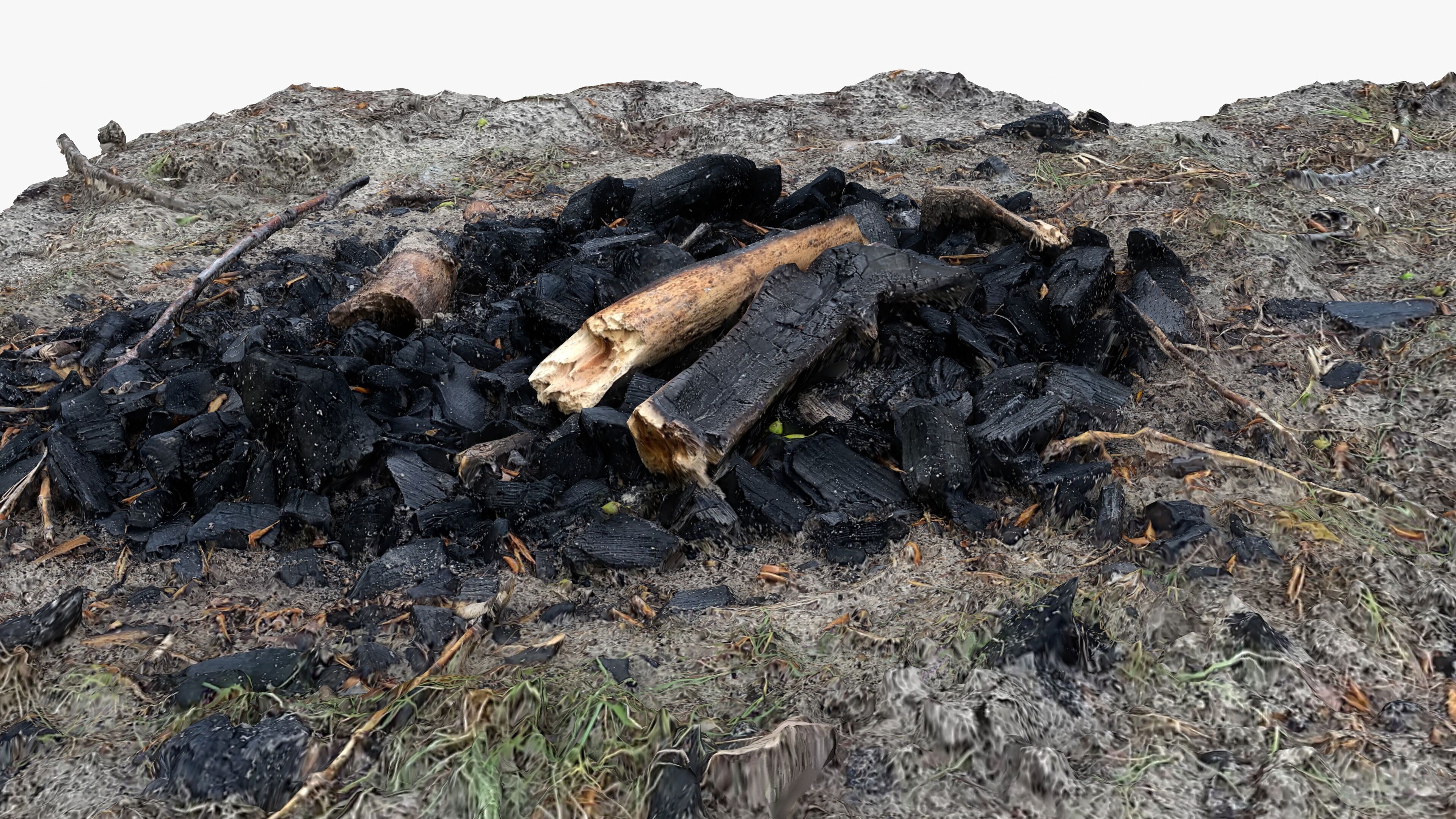 Extinguished Campfire Ashes Burned Fire Pit with Charcoal Scan Low-poly 3D model_12