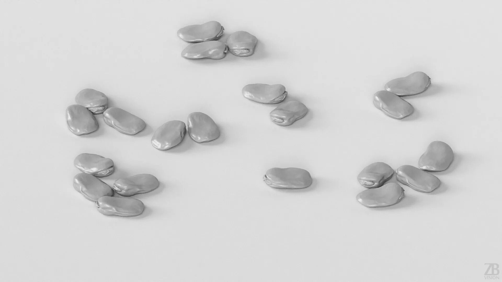 Fava Bean 3D model_3
