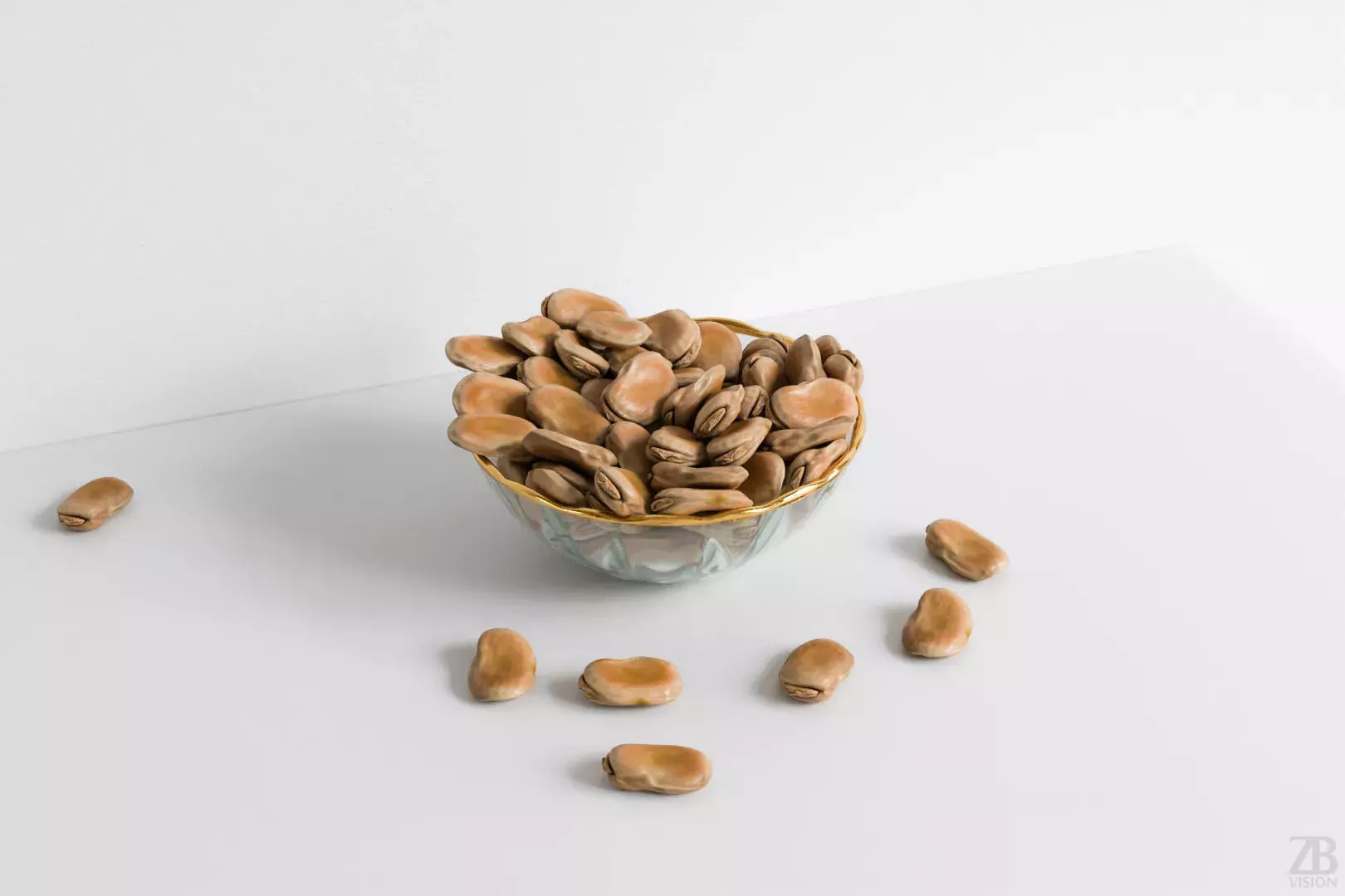 Fava Bean 3D model_0