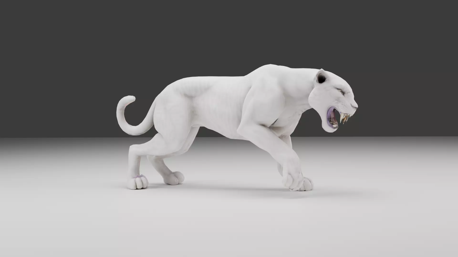 White Panther Realistic 3D Creature Model Low-poly 3D model_0