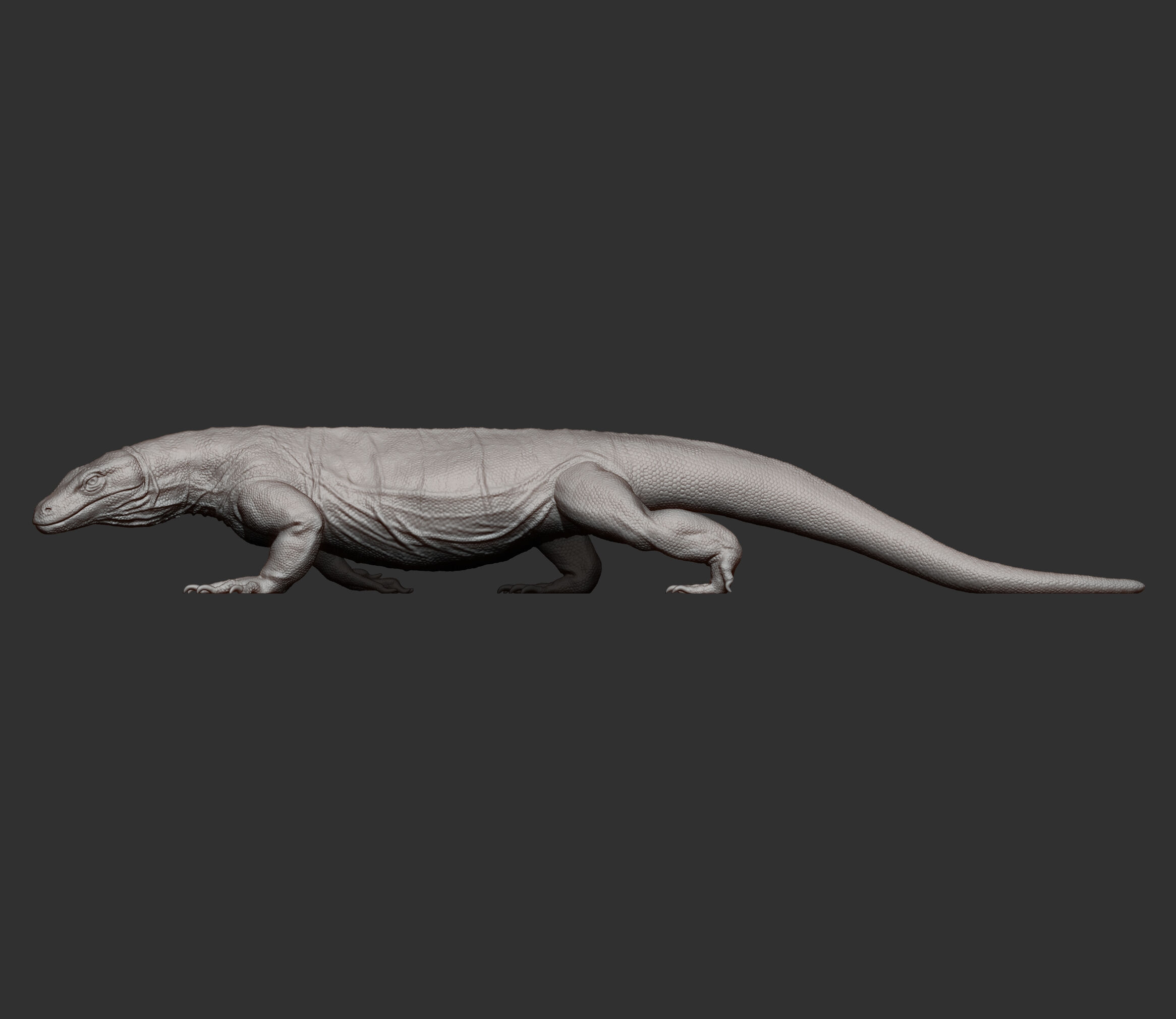 Komodo Dragon 3D print model_10