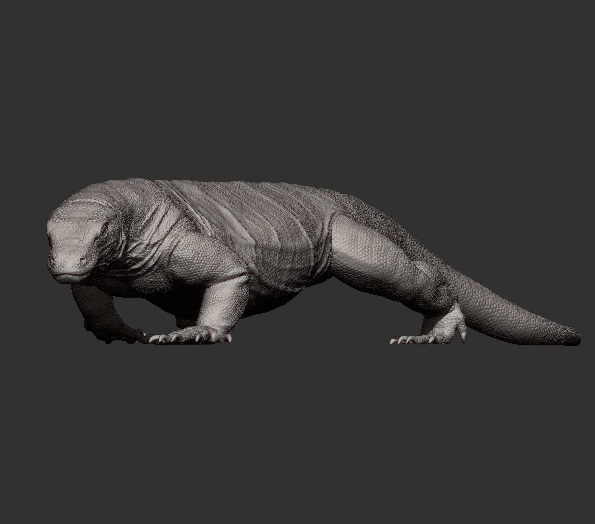 Komodo Dragon 3D print model_14