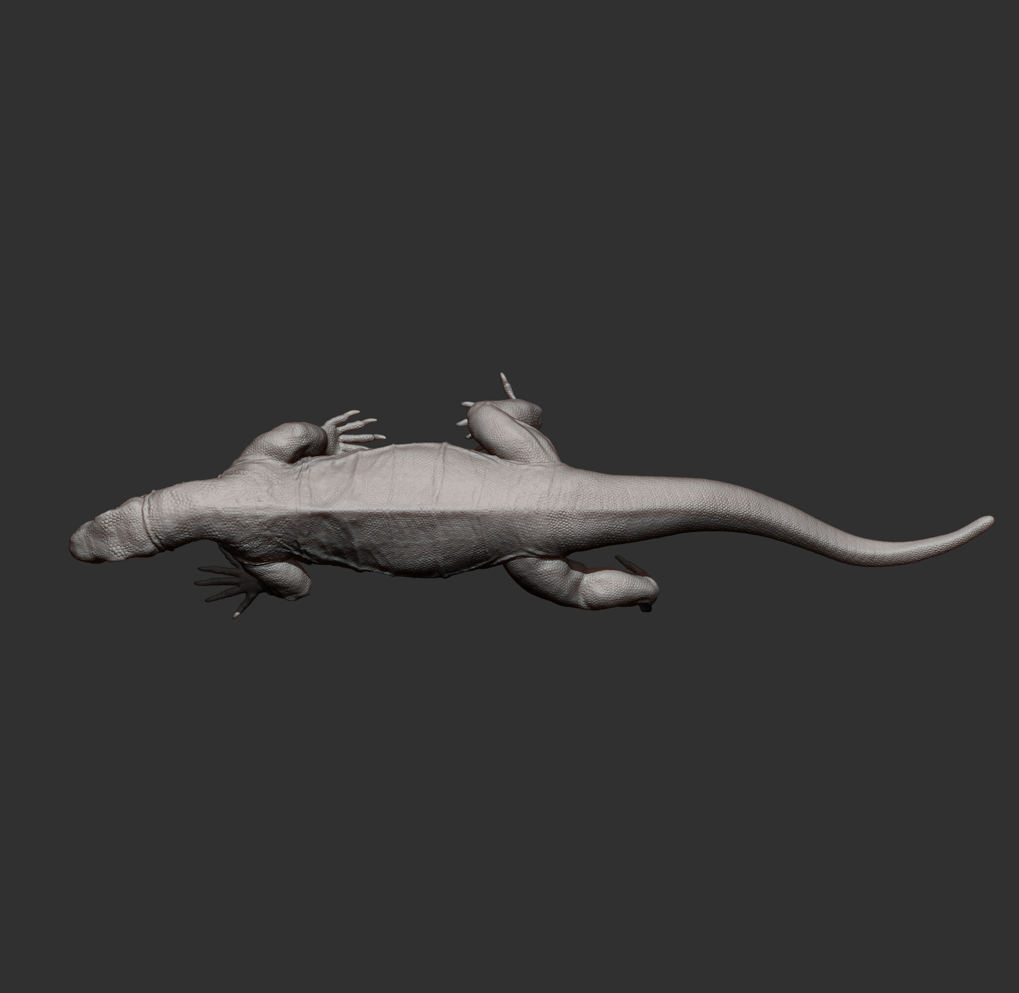 Komodo Dragon 3D print model_11
