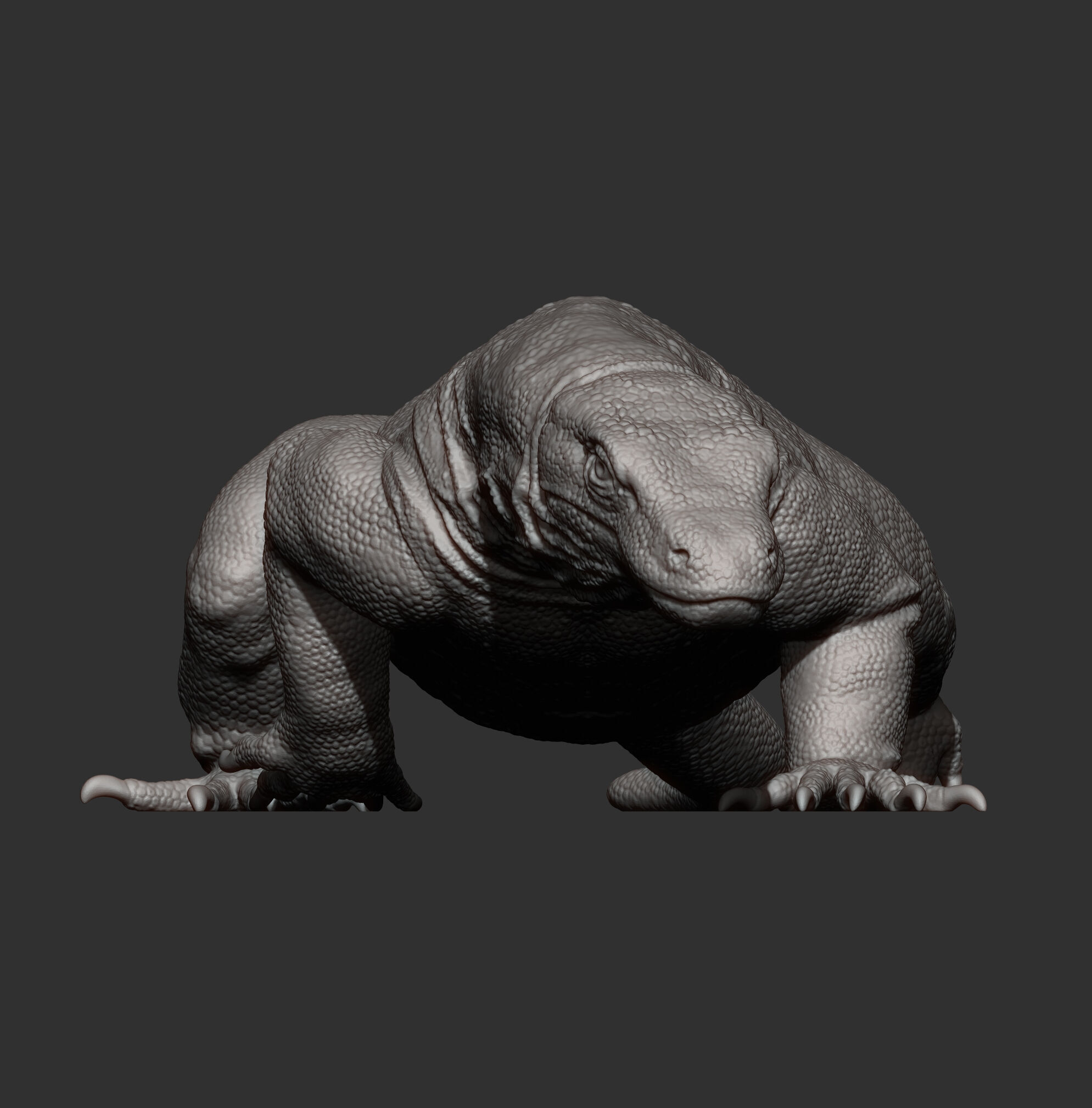 Komodo Dragon 3D print model_5