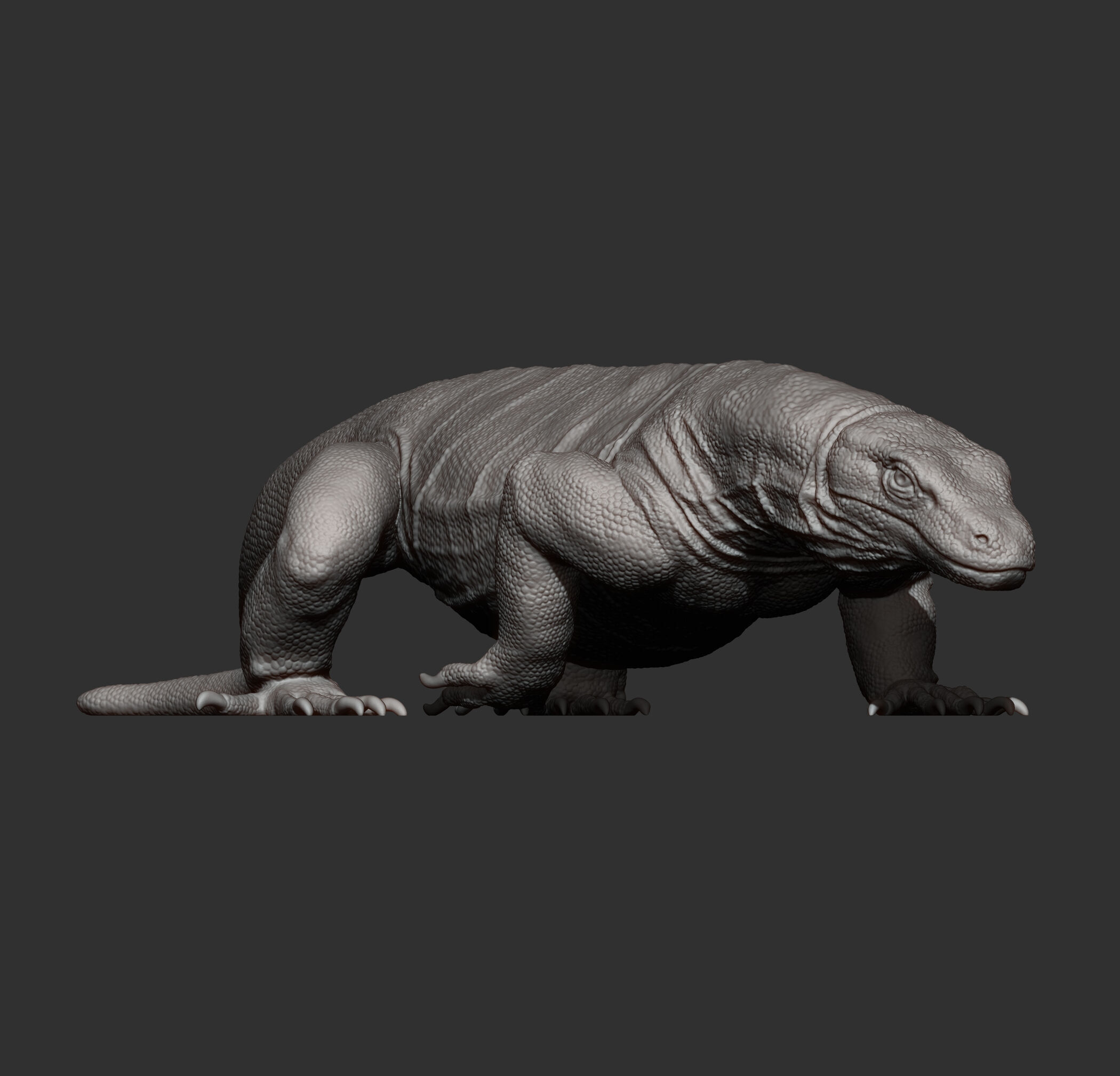 Komodo Dragon 3D print model_13