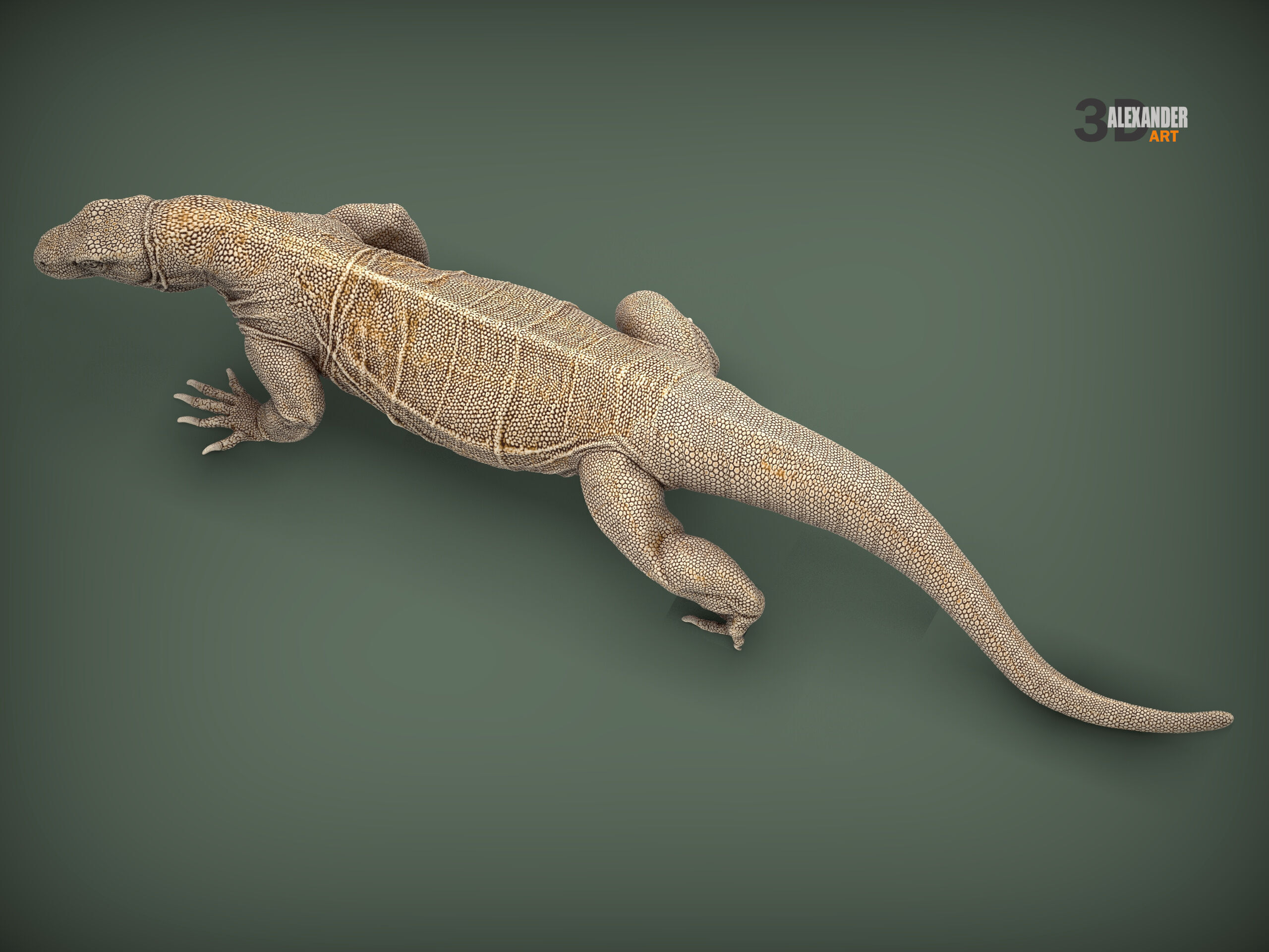 Komodo Dragon 3D print model_9