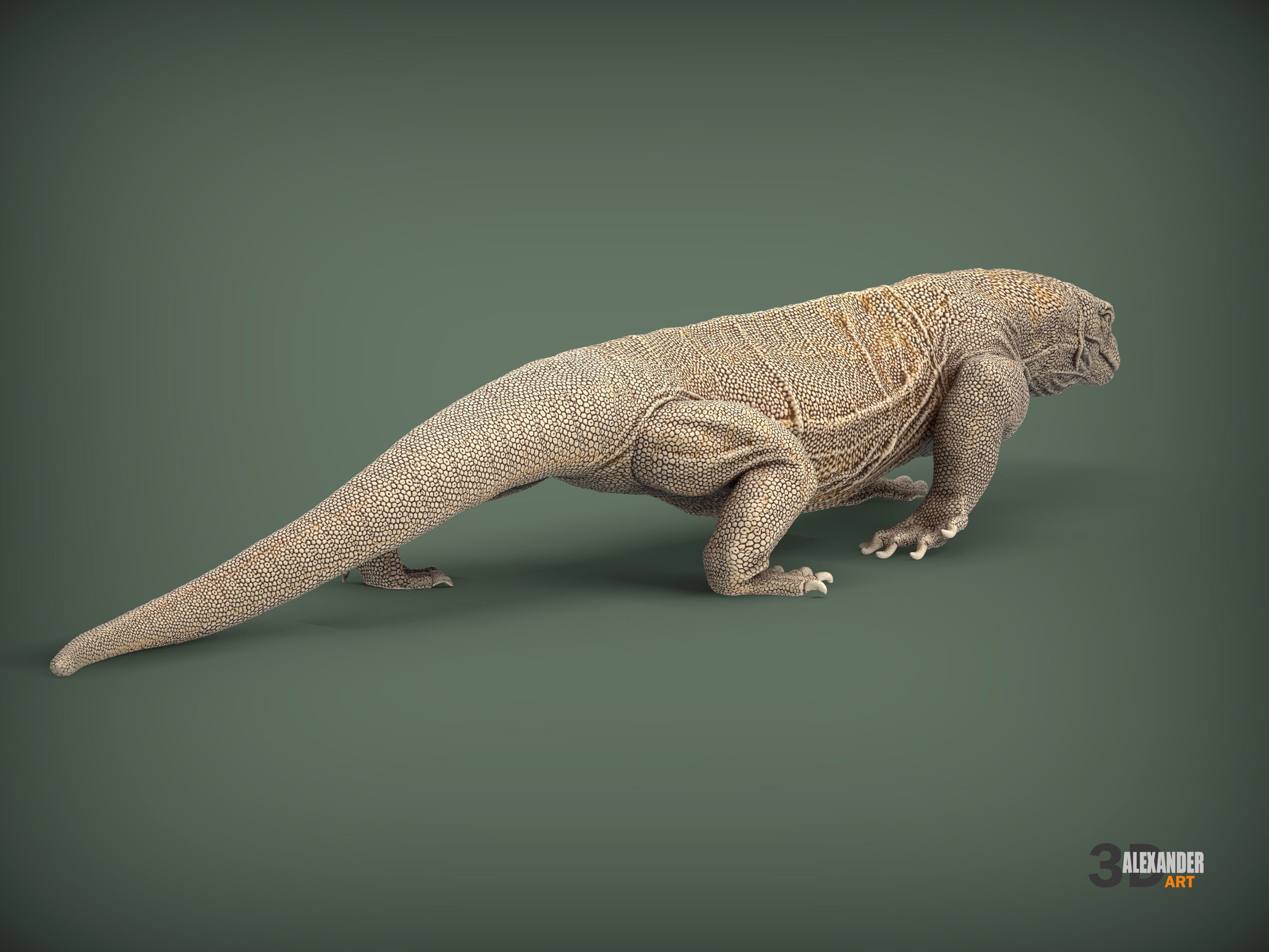Komodo Dragon 3D print model_8