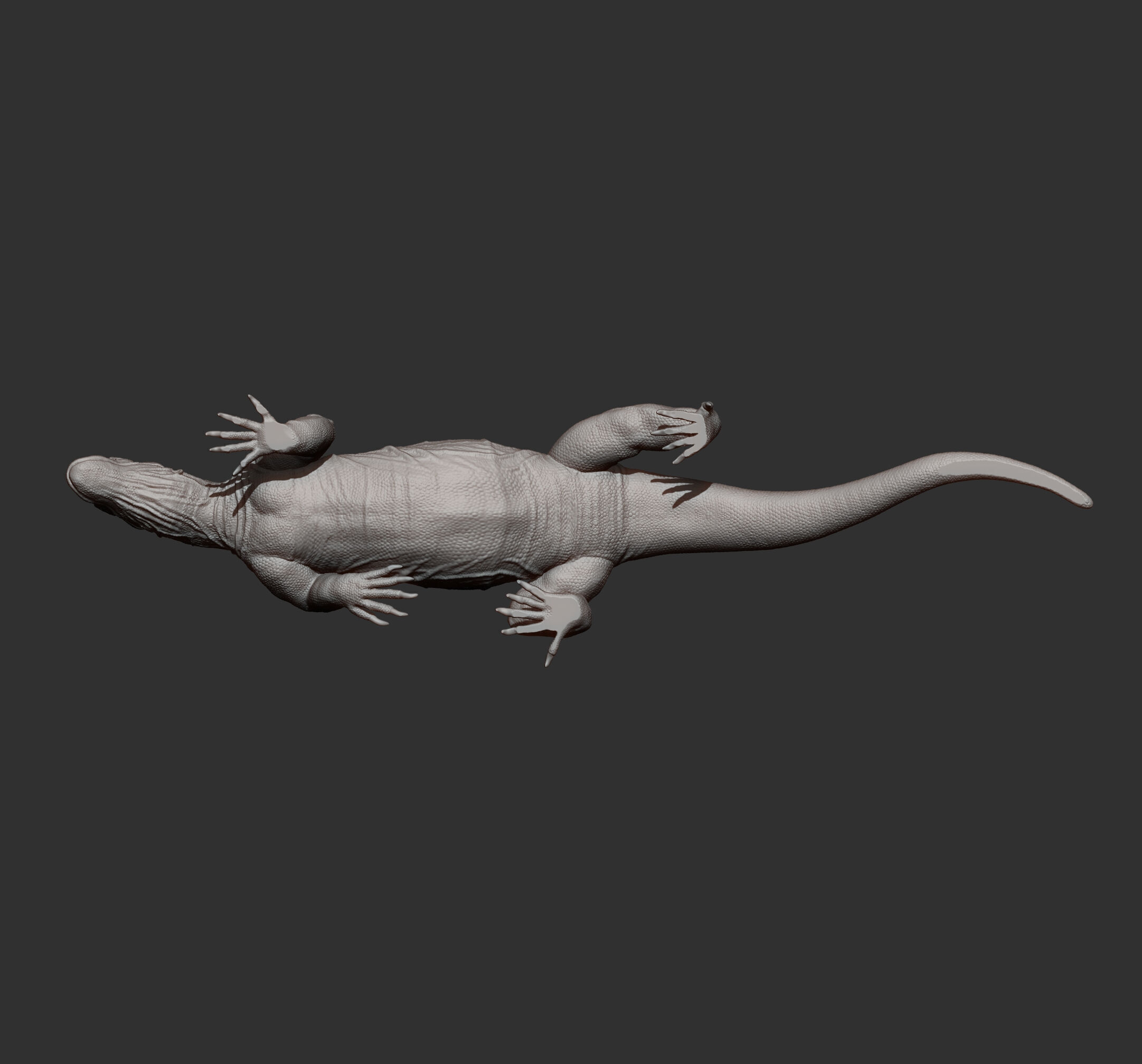 Komodo Dragon 3D print model_15