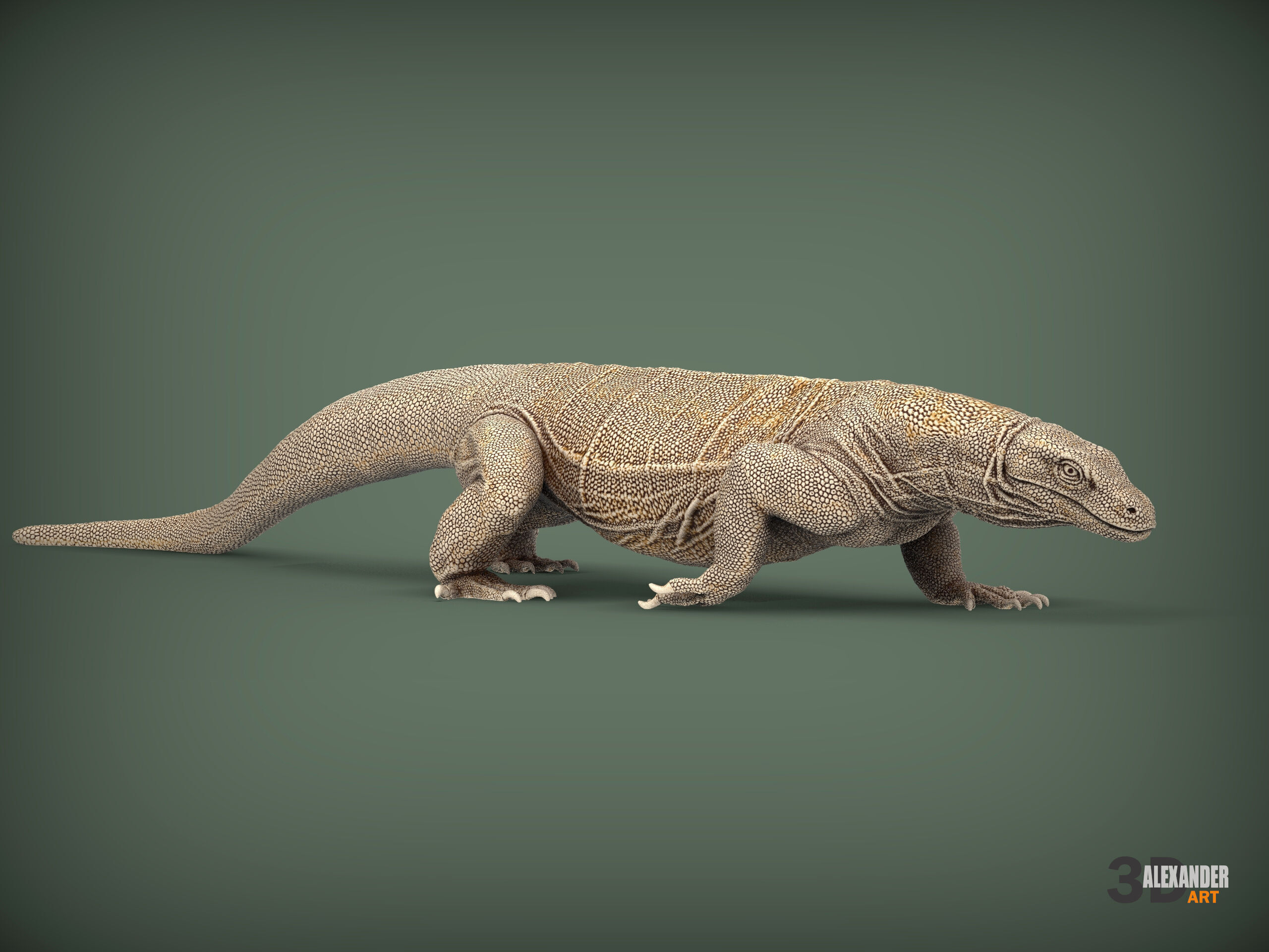 Komodo Dragon 3D print model_6