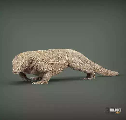 Komodo Dragon 3D print model