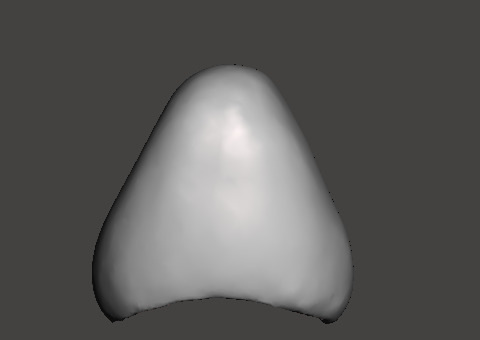 Dental Pediatric readymade crowns milling With Cuspid Set 3D print model_3