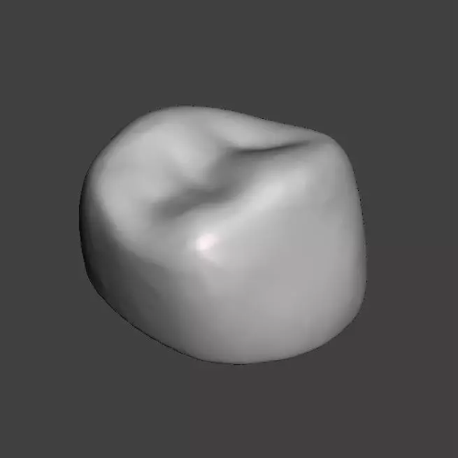 Dental Pediatric readymade crowns milling With Cuspid Set 3D print model_0