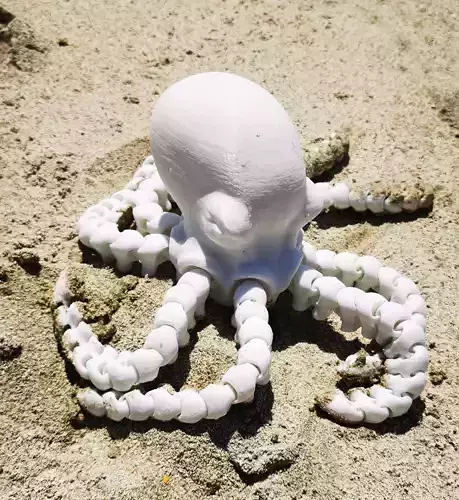 Octopus Print in place no support