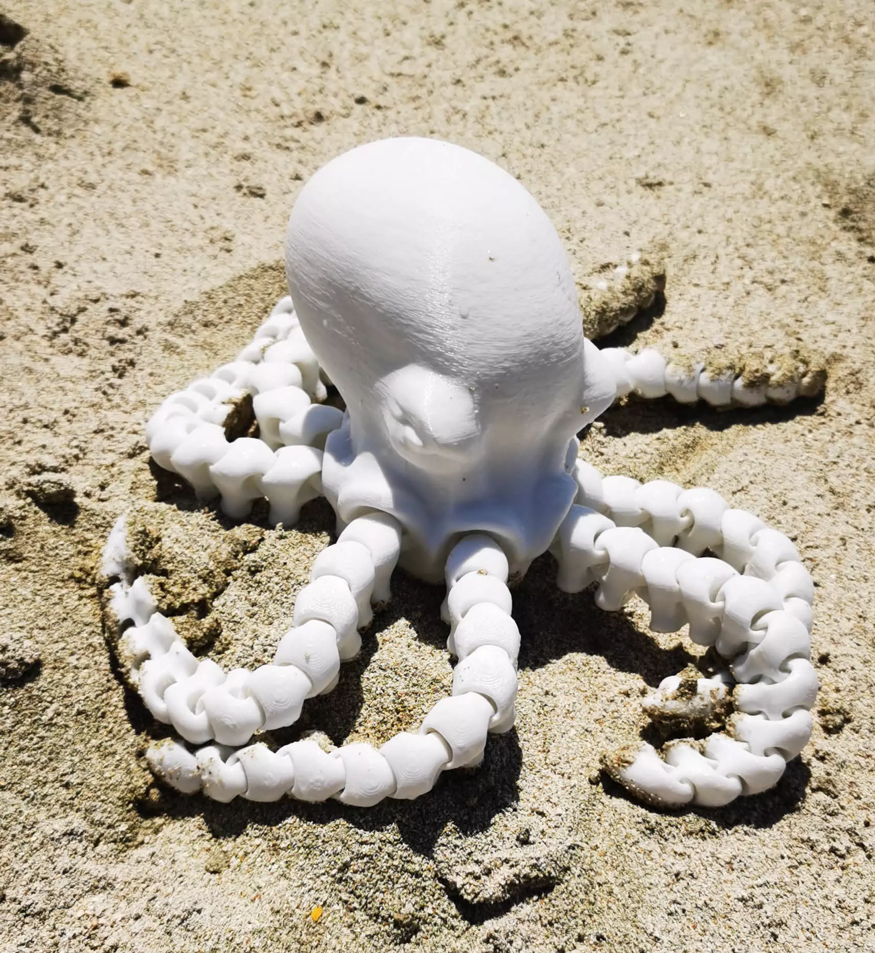 Octopus Print in place no support 3D print model