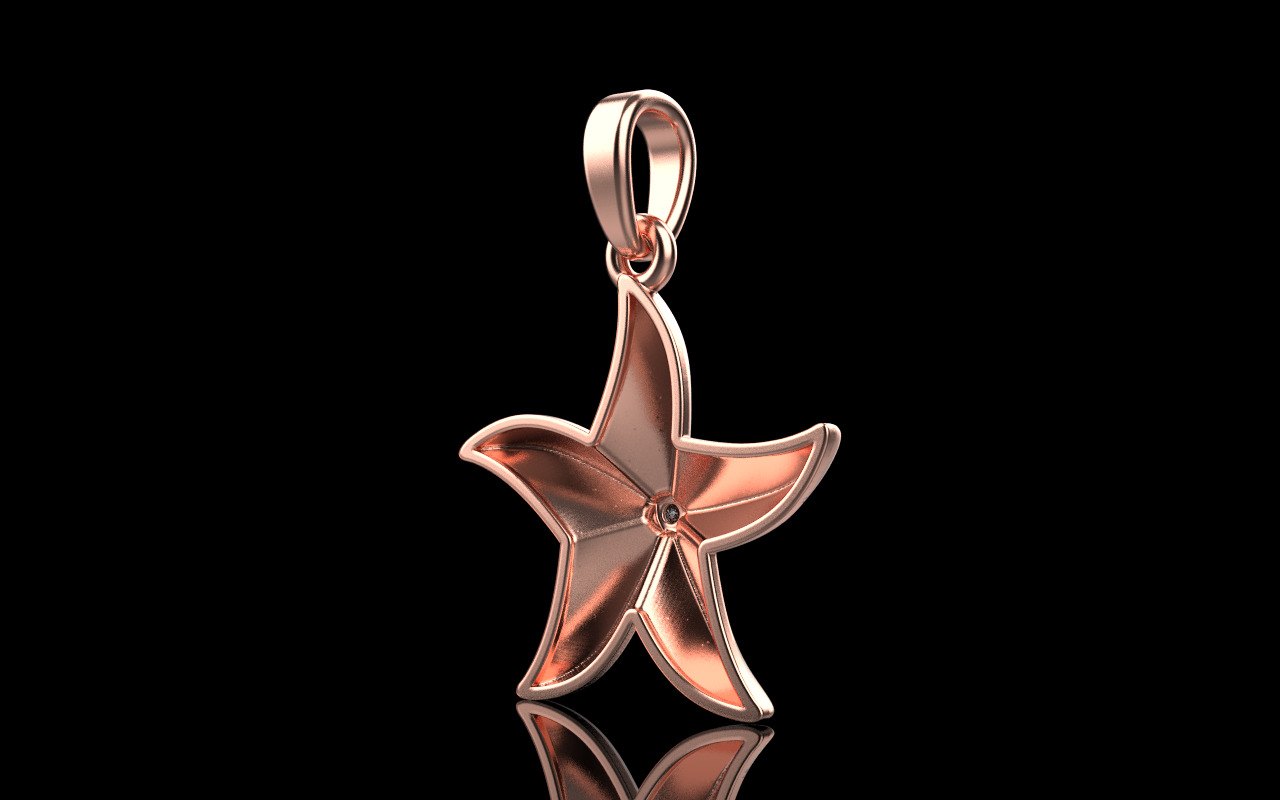 Lightweight starfish pendant model  1202 3D print model_22