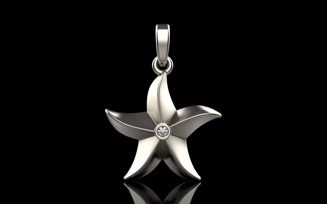 Lightweight starfish pendant model  1202 3D print model_0