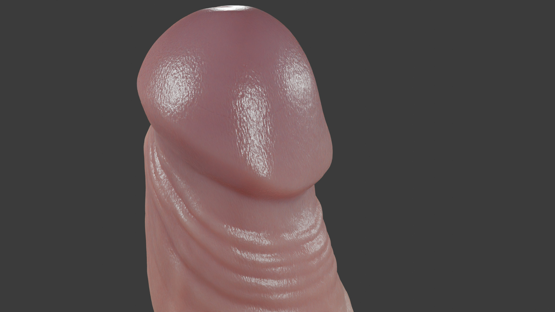 Penis Rigged Highpoly and Lowpoly Low-poly 3D model_5