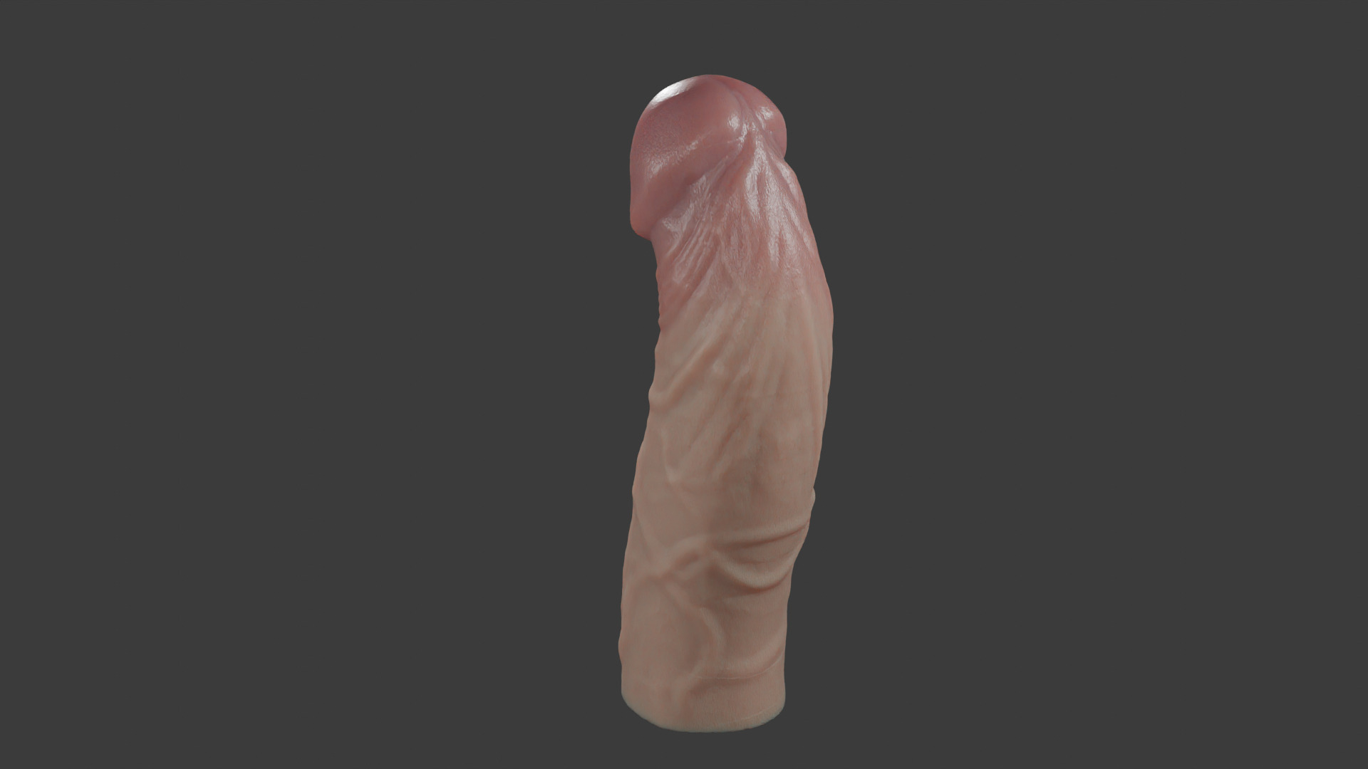 Penis Rigged Highpoly and Lowpoly Low-poly 3D model_4
